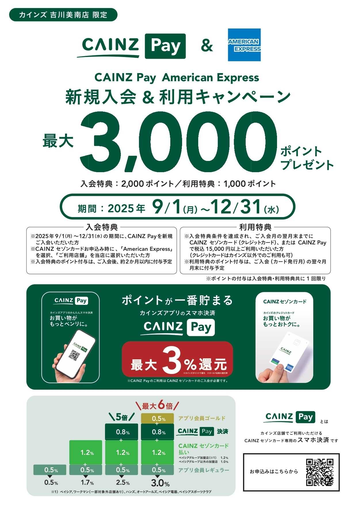 カインズ カインズPayキャンペーン 吉川美南店
