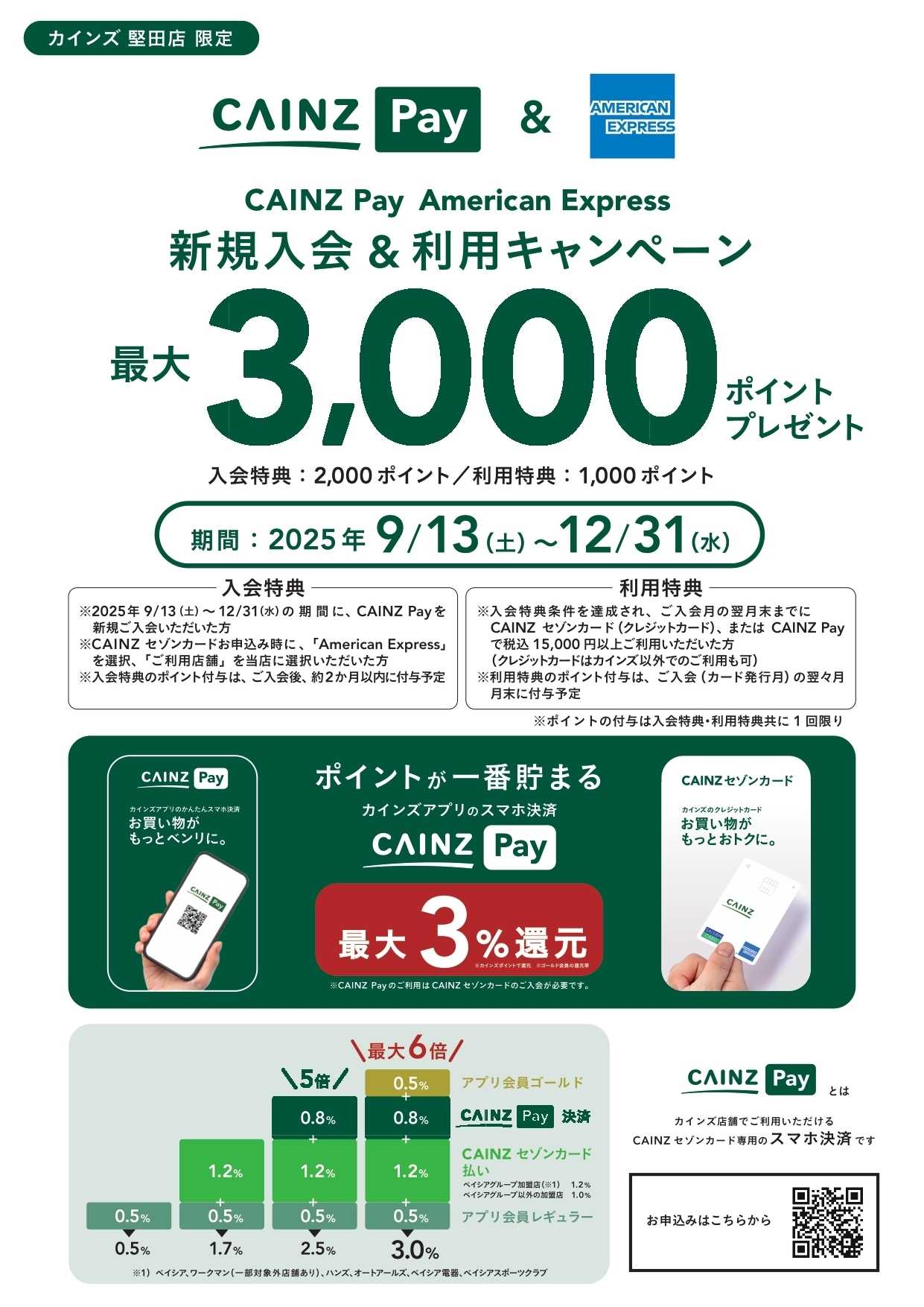 カインズ カインズPayキャンペーン 堅田店