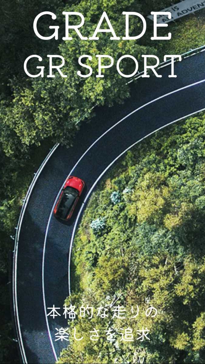 ナオイオート TOYOTA 新型LAV4 グレード紹介！