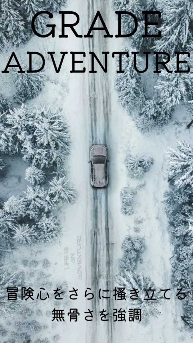 ナオイオート TOYOTA 新型LAV4 グレード紹介！
