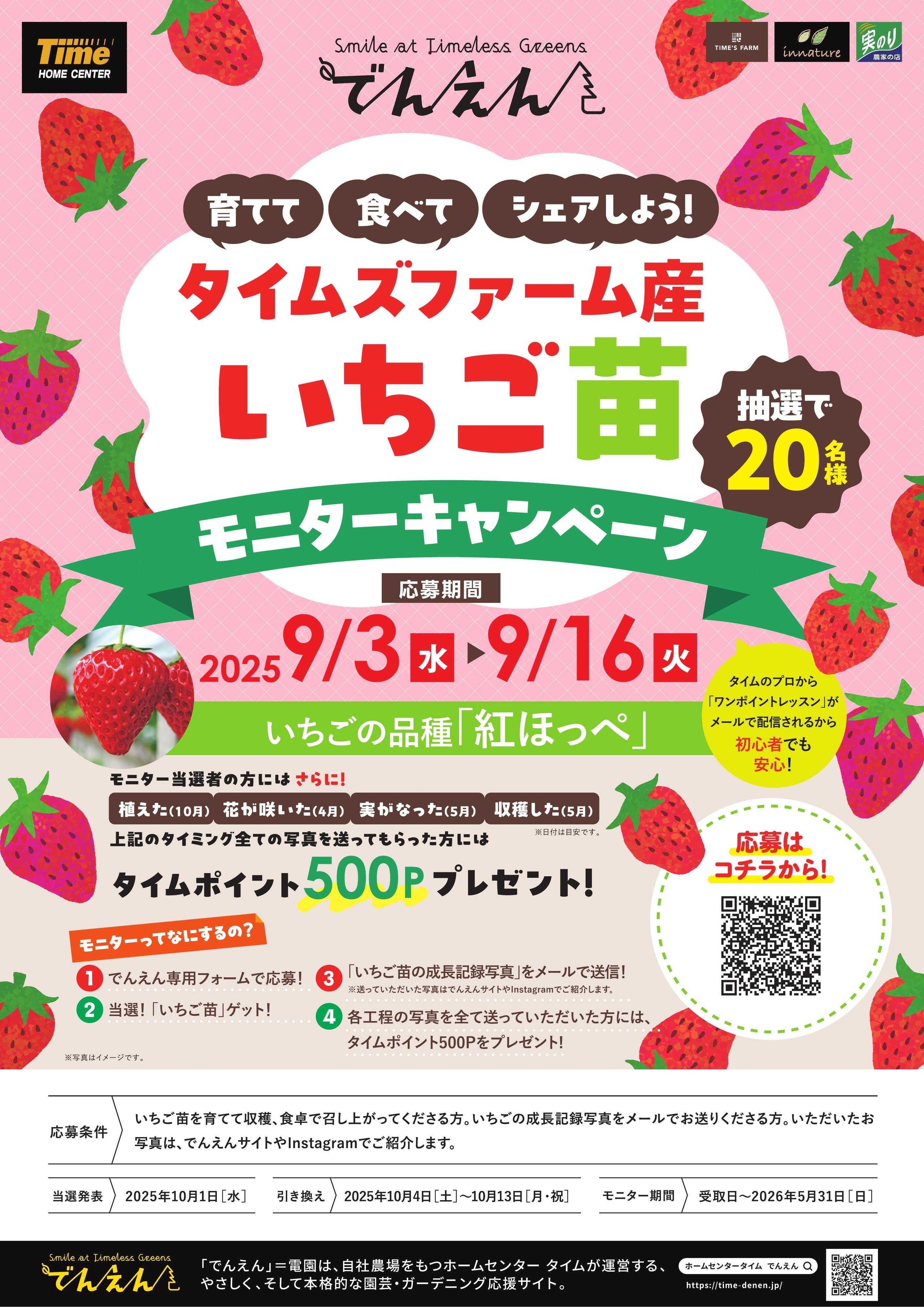ホームセンタータイム いちご苗モニターキャンペーン