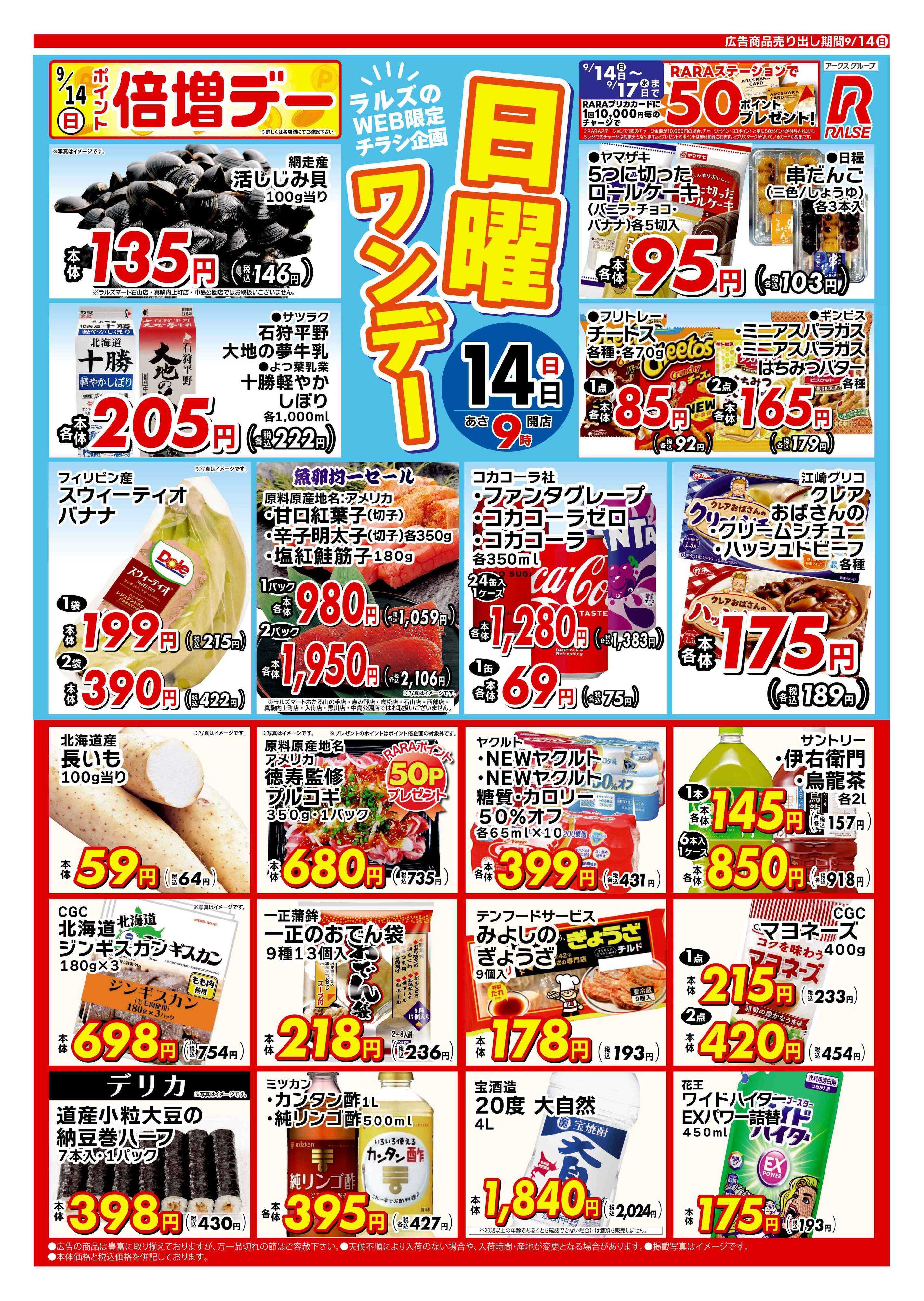 ビッグハウス 0914 Web 日曜ワンデー