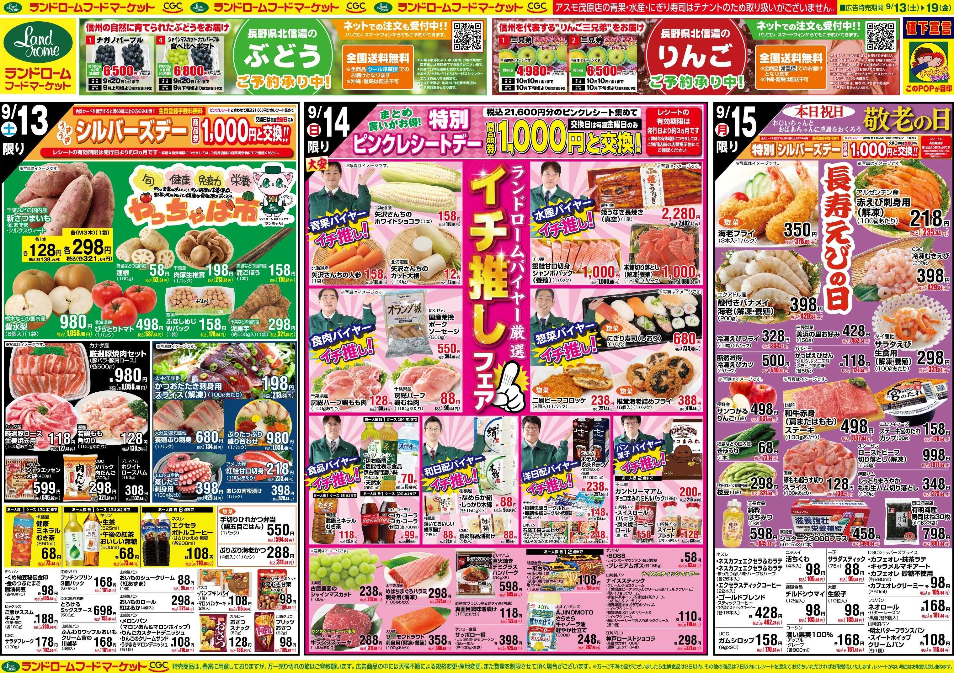ランドローム 9/13号