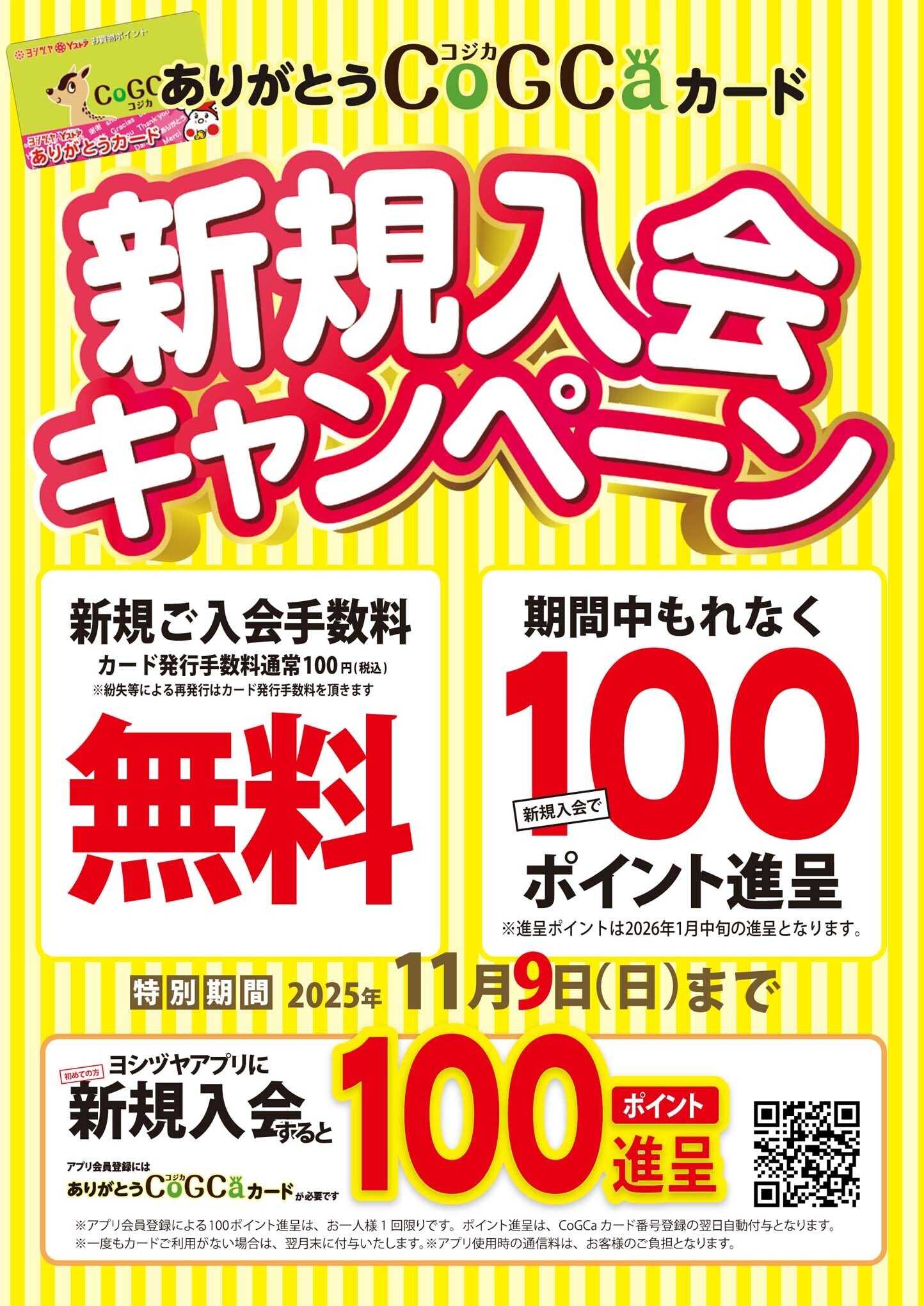 ヨシヅヤ 新規入会キャンペーン