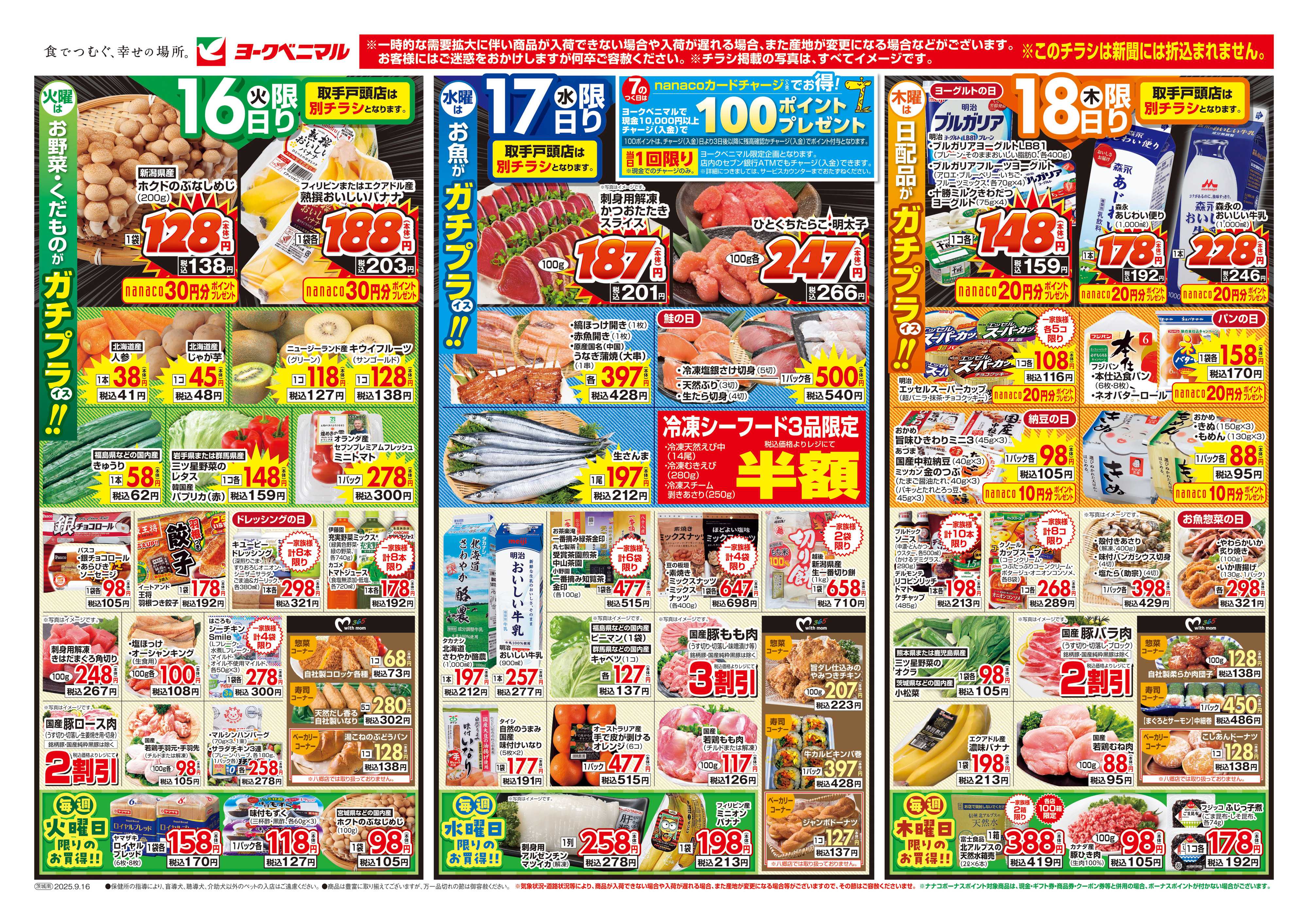 ヨークベニマル 9/16号チラシ