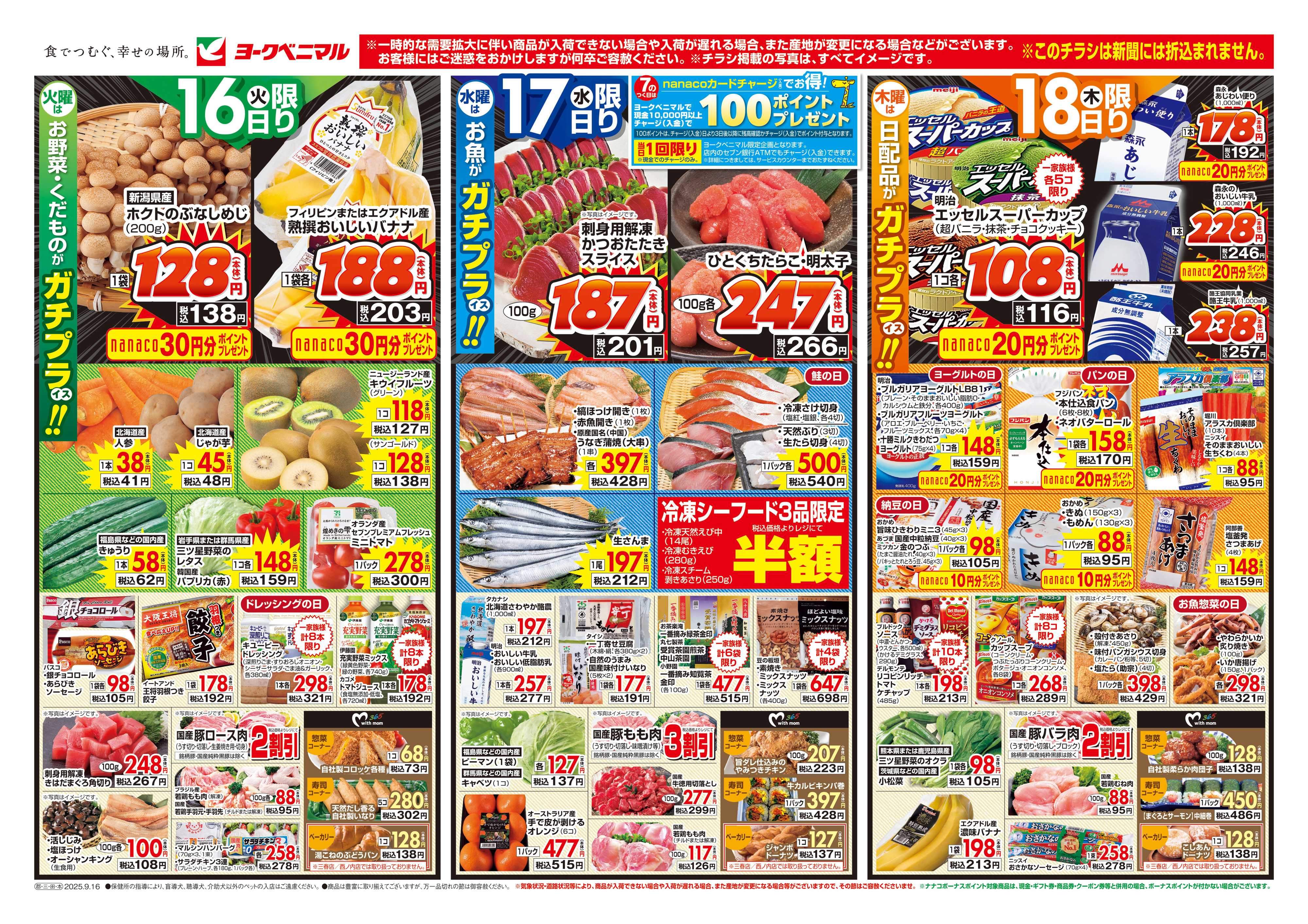 ヨークベニマル 9/16号チラシ