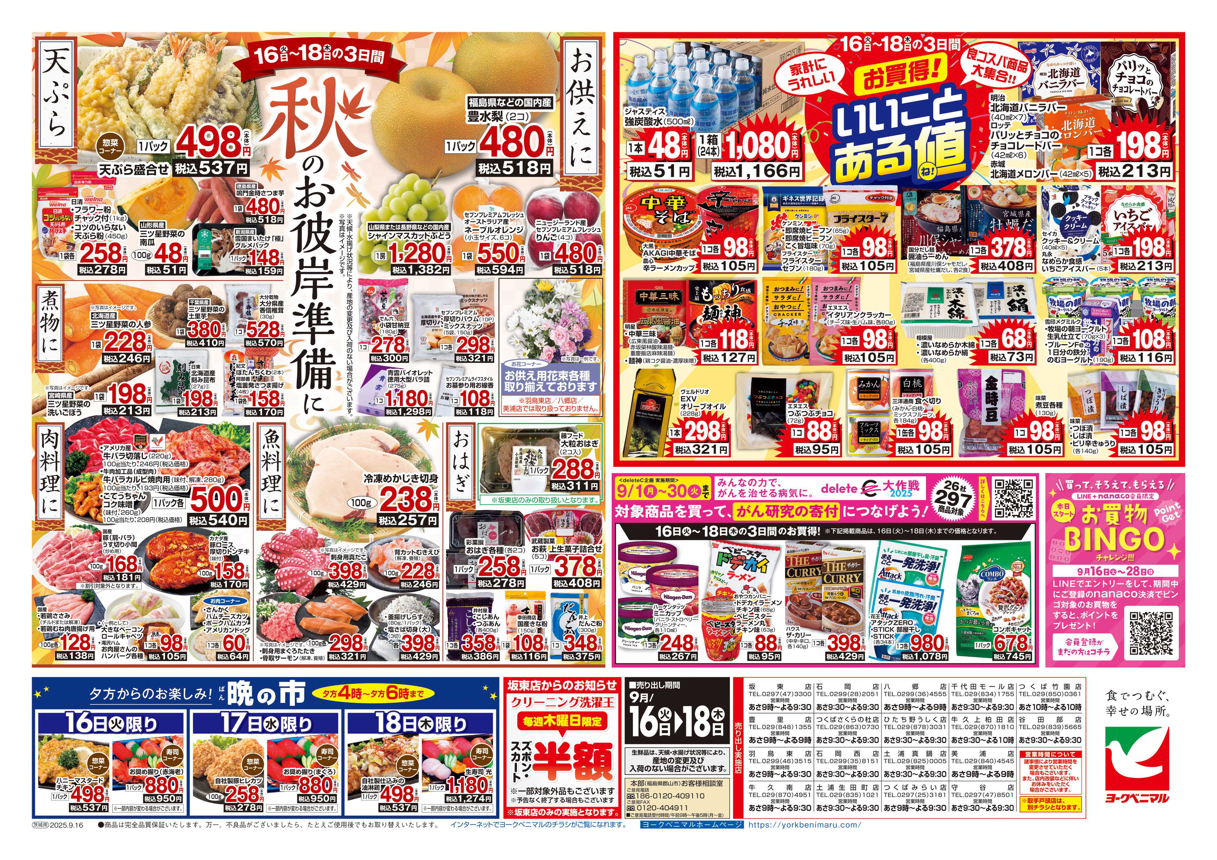 ヨークベニマル 9/16号チラシ
