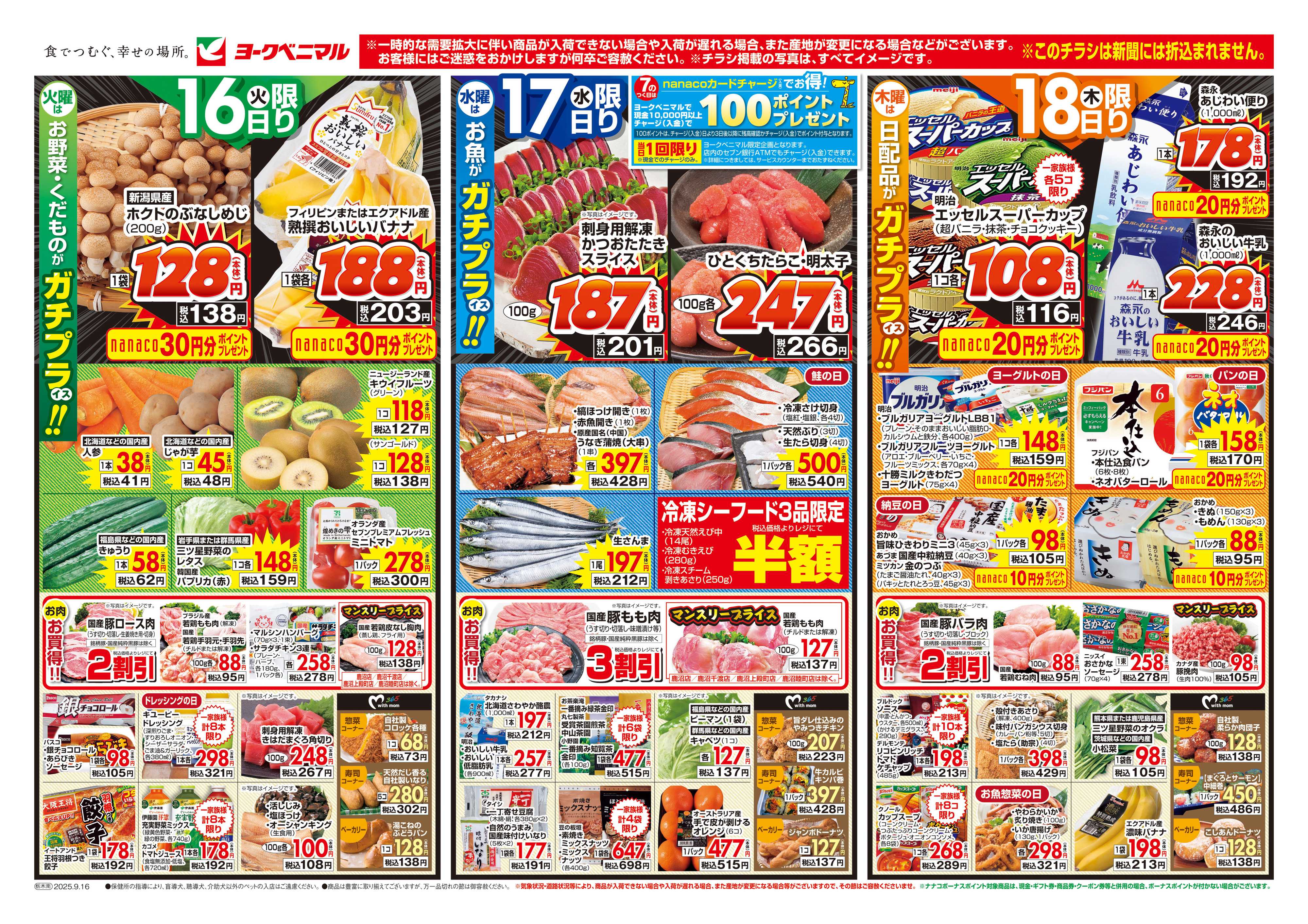 ヨークベニマル 9/16号チラシ