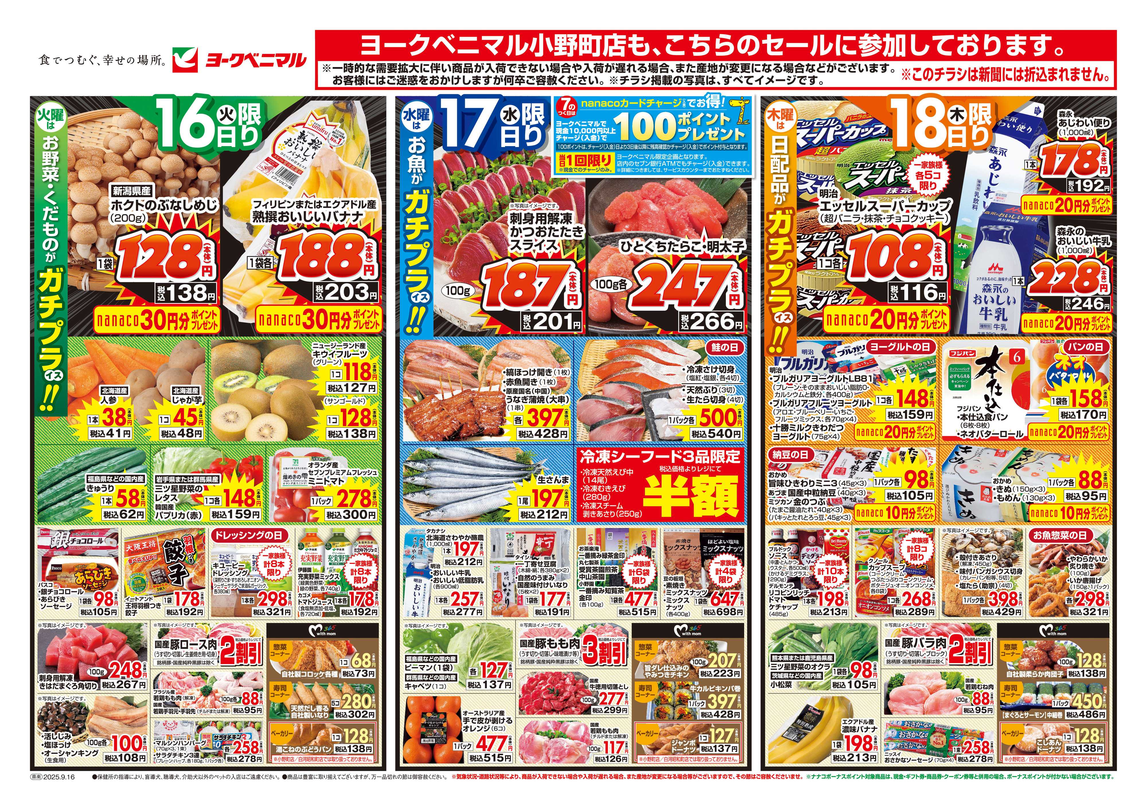 ヨークベニマル 9/16号チラシ