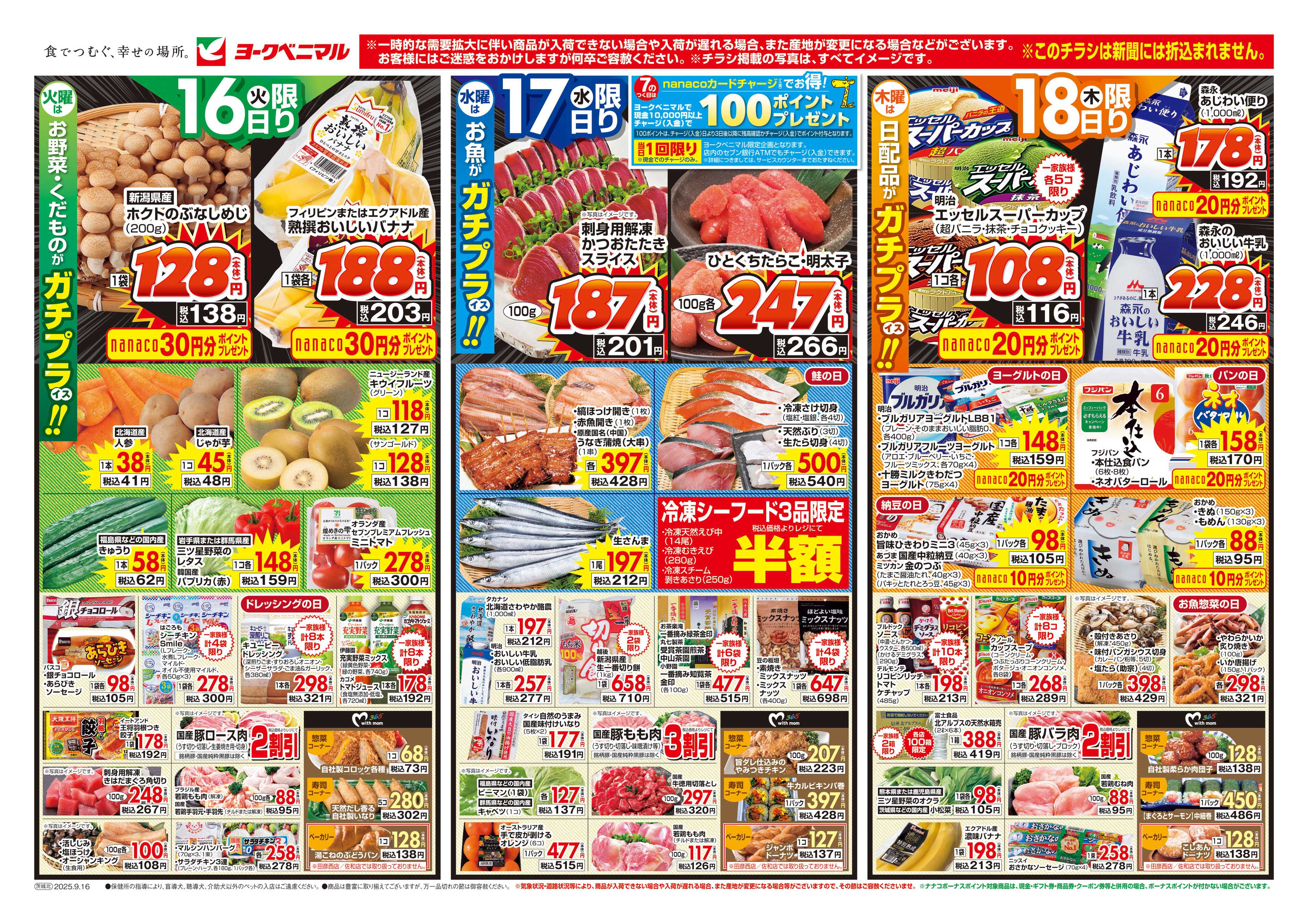 ヨークベニマル 9/16号チラシ