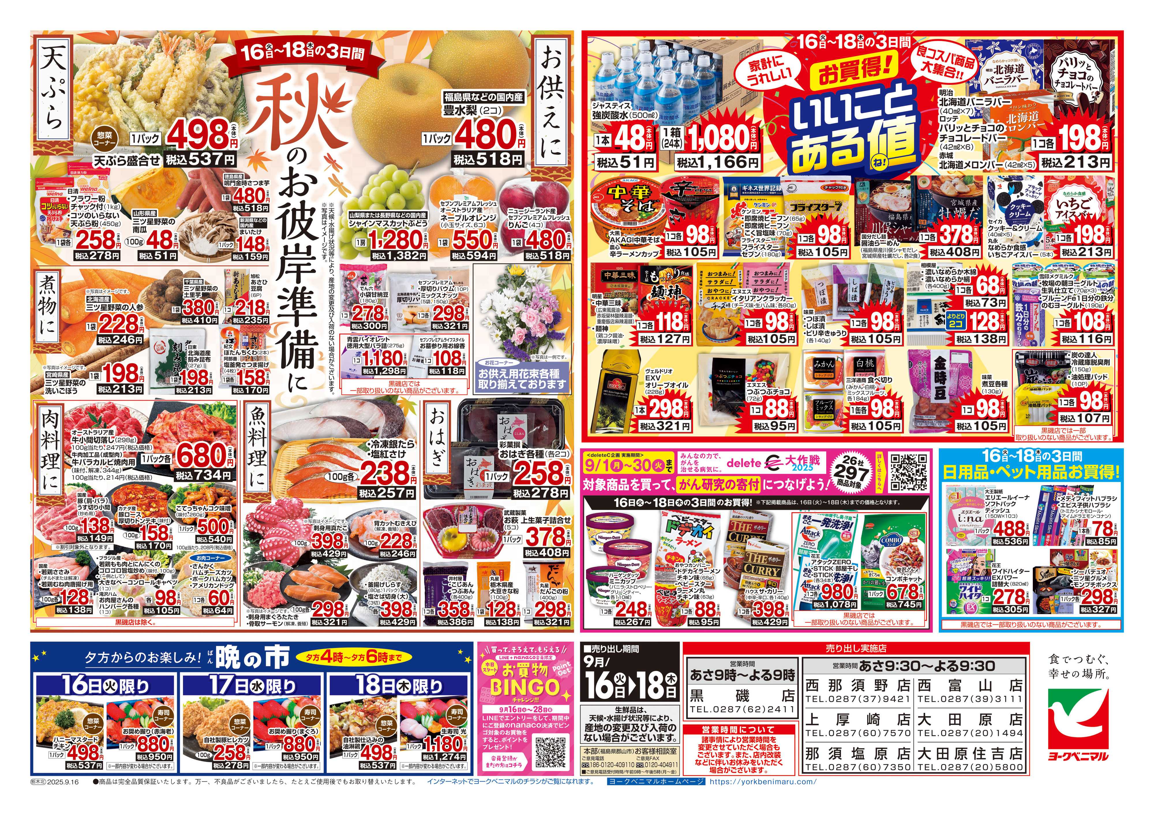 ヨークベニマル 9/16号チラシ