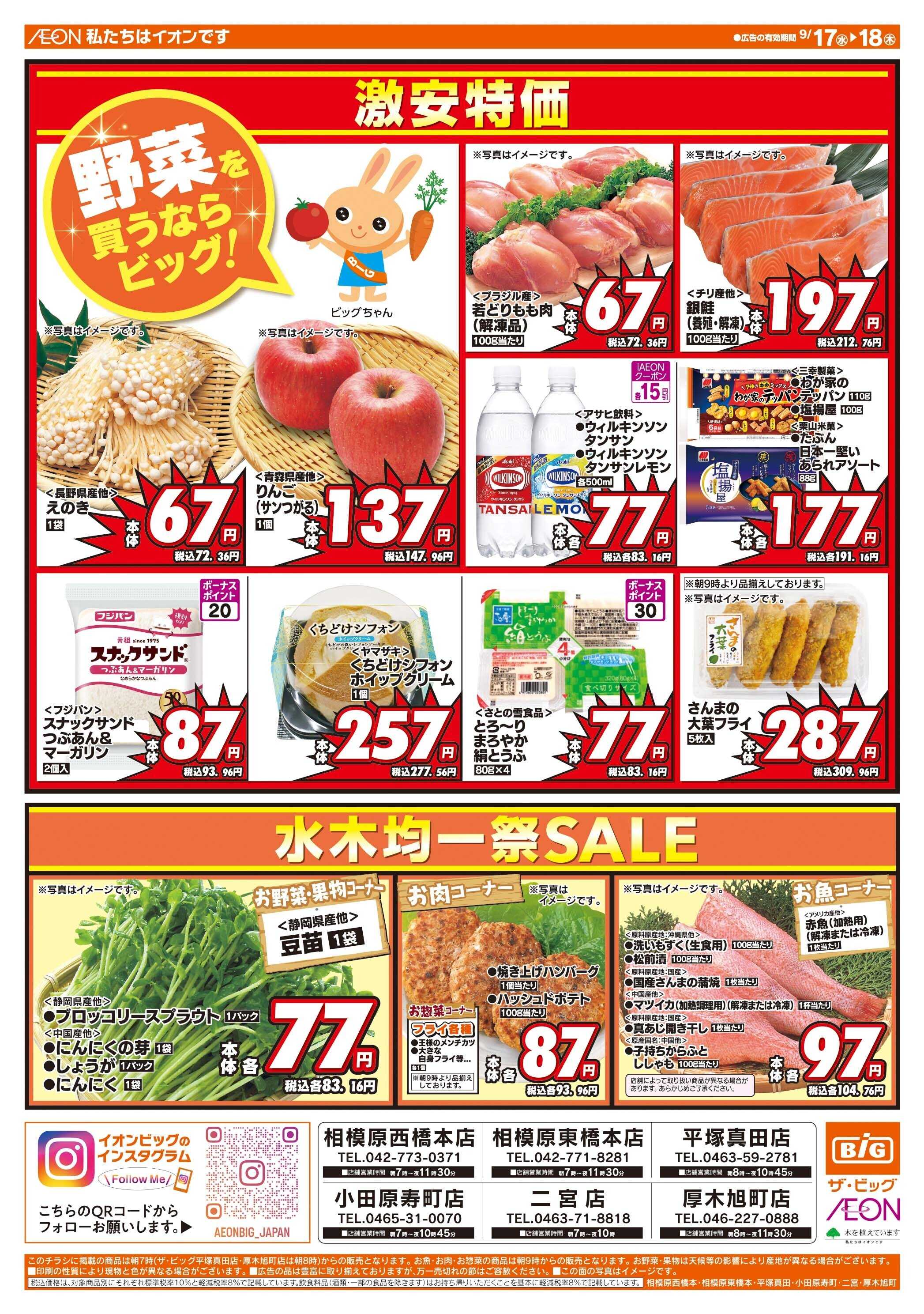 ザ・ビッグ 毎週水曜木曜はお買得均一祭！