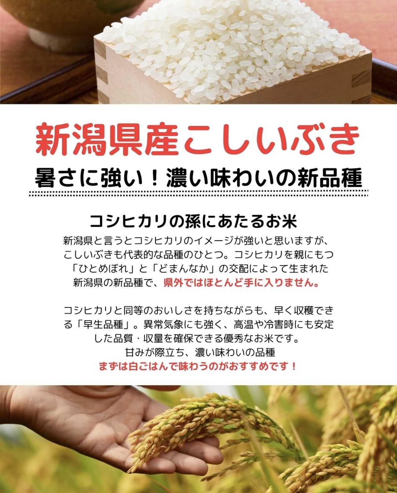 買取大吉 令和7年度 新米プレゼントキャンペーン開催中！