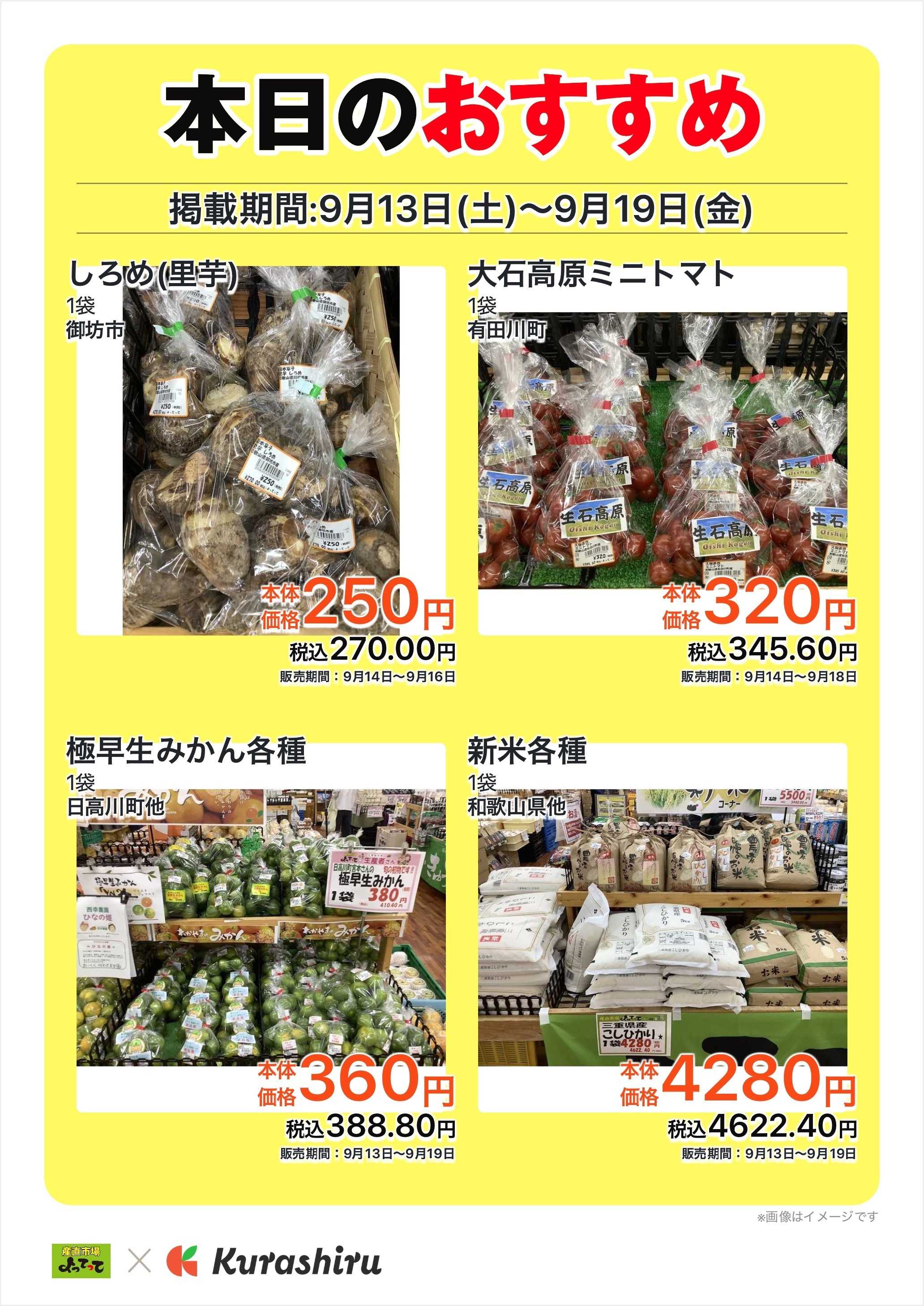 産直市場よってって 本日のおすすめ