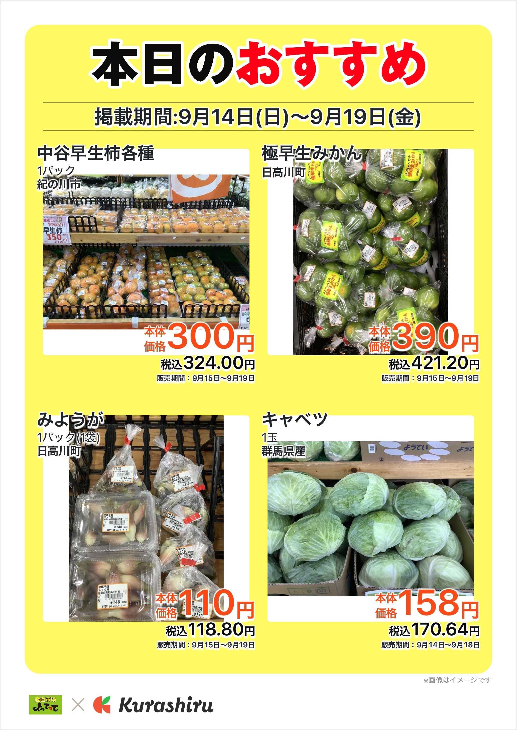 産直市場よってって 本日のおすすめ