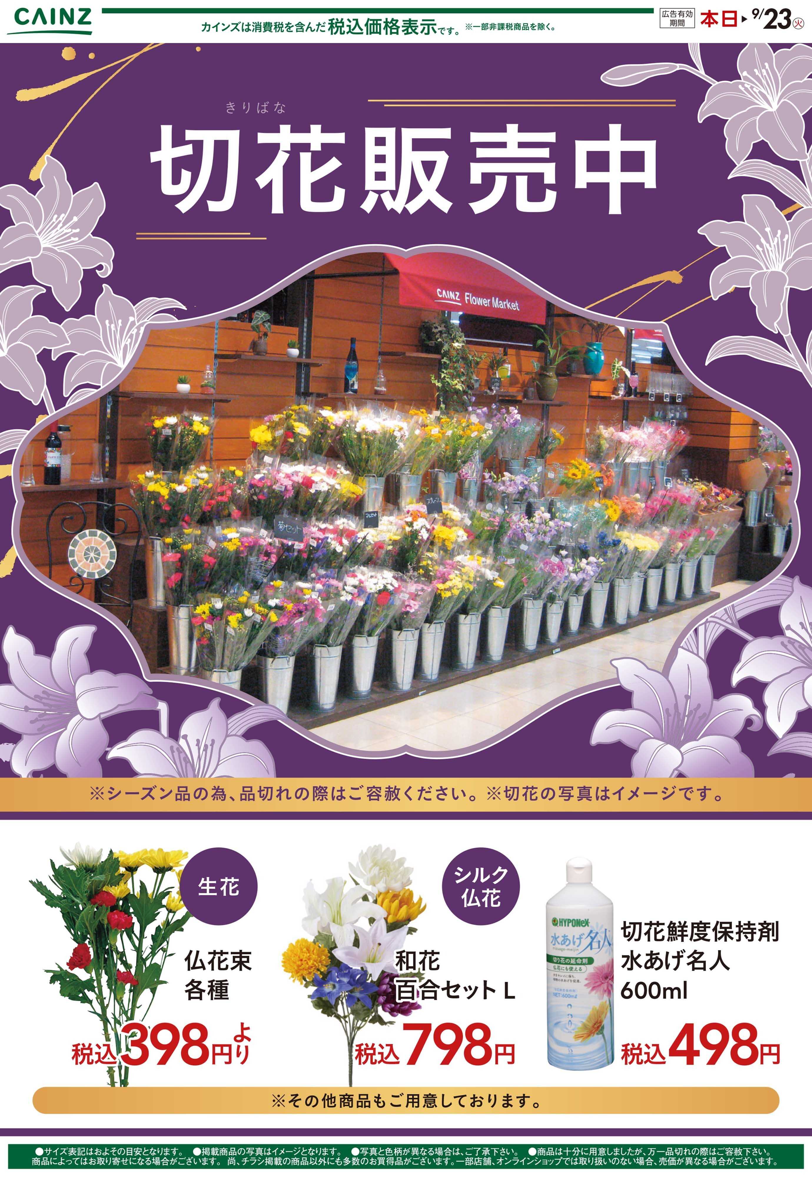 カインズ 切花9/20号