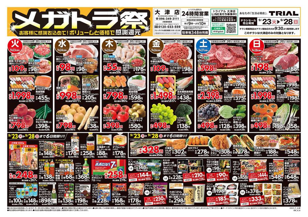 「ＴＳＵＢＵＲＡＹＡジャングル」販促用Ａ４サイズチラシ（非売品・新品・２００３） TSUBURAYAジャングル」販促用A4サイズチラシ（非売品