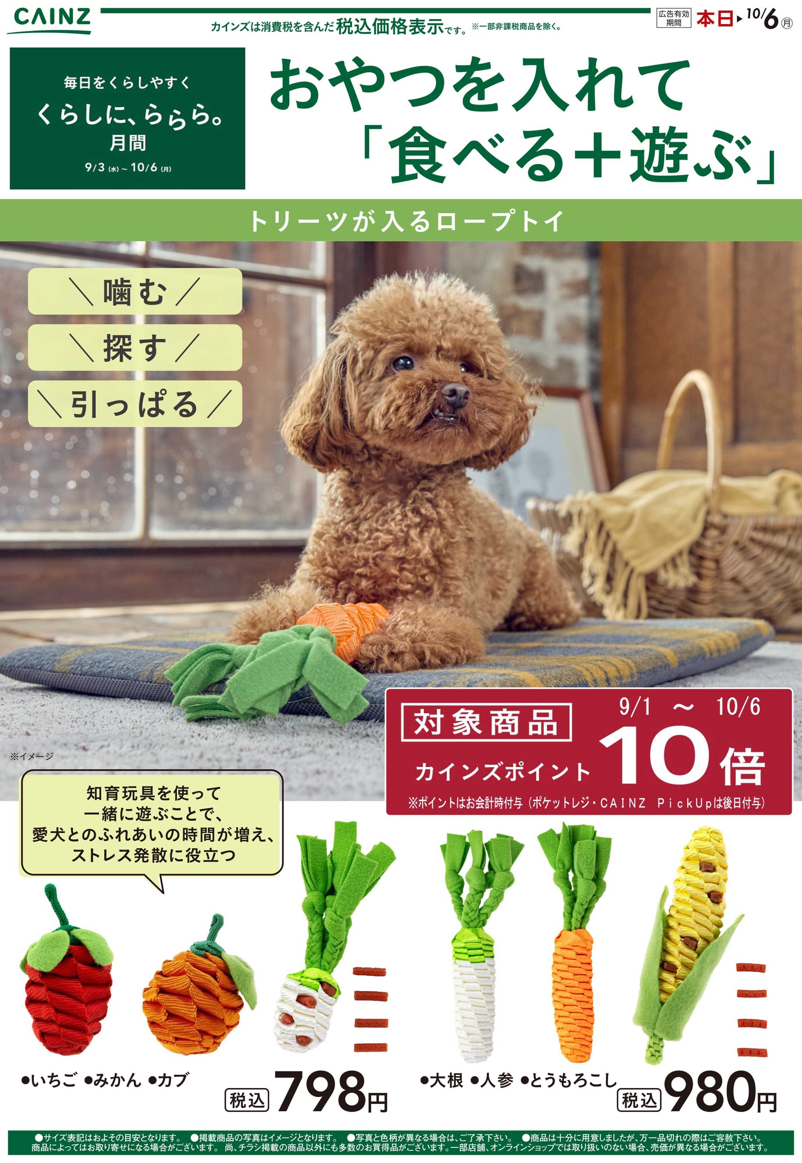 カインズ トリーツが入るロープトイ