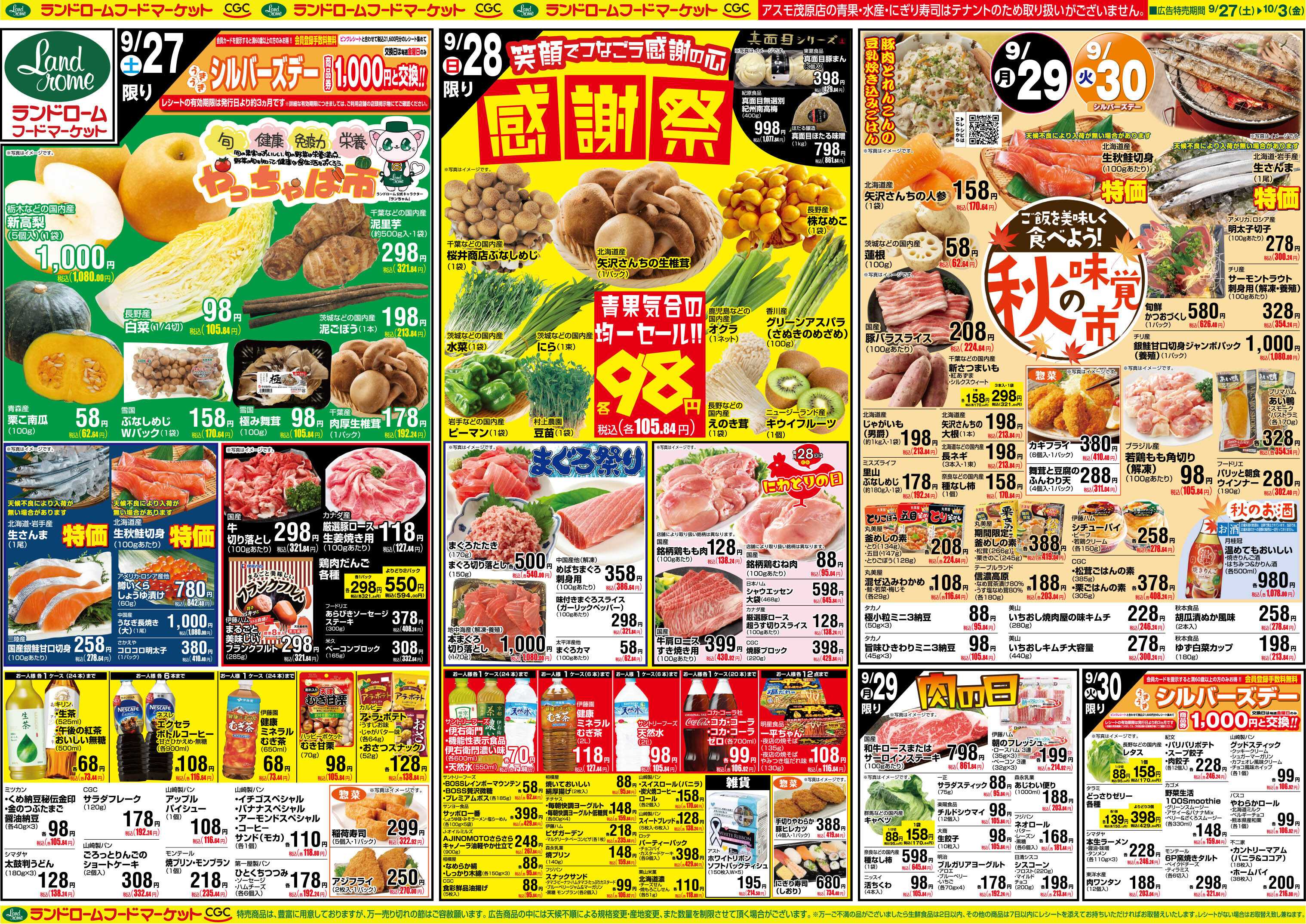 ランドローム 9/27号