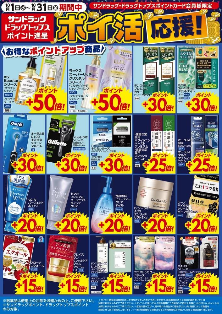 Arcaea TGSチラシ 2枚 TOKYO GAME SHOW 2025 - 商品