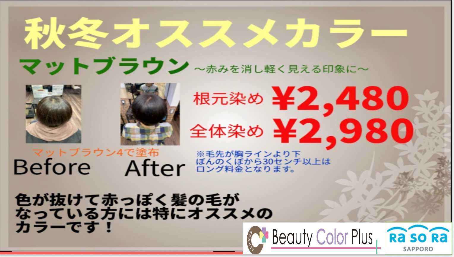 ビューティーカラープラス 