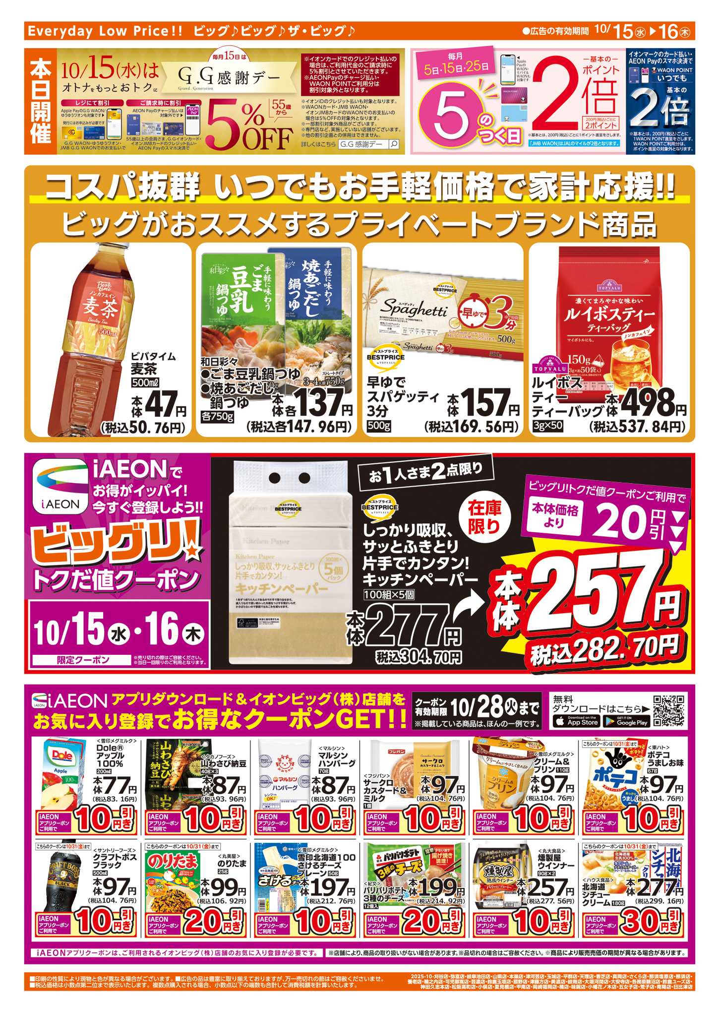 ザ・ビッグ 週中チラシ