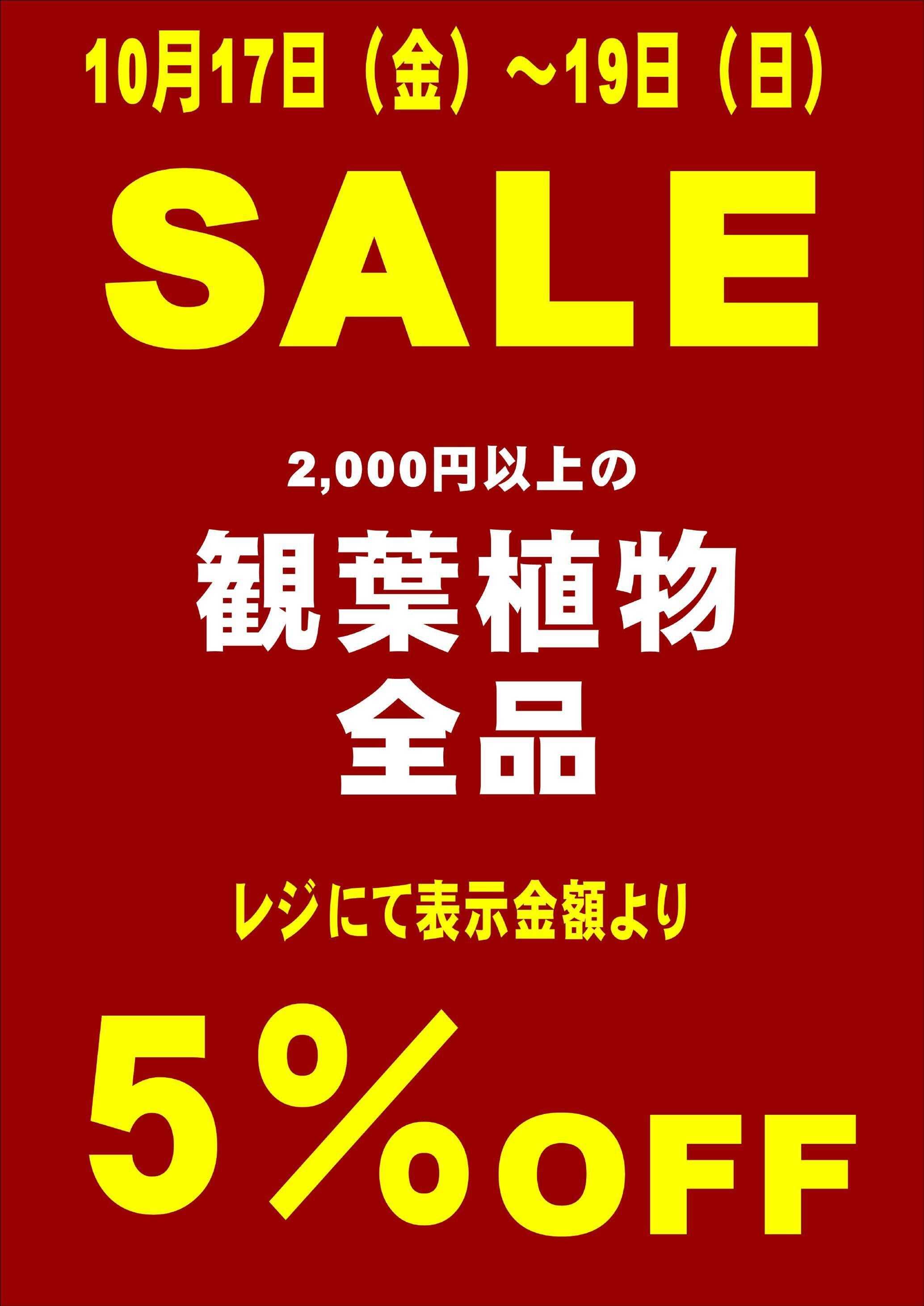 JA尾張中央 ガーデンセンター不二　10/17~19　観葉植物、サボテン、アガベ、塊根セール開催！