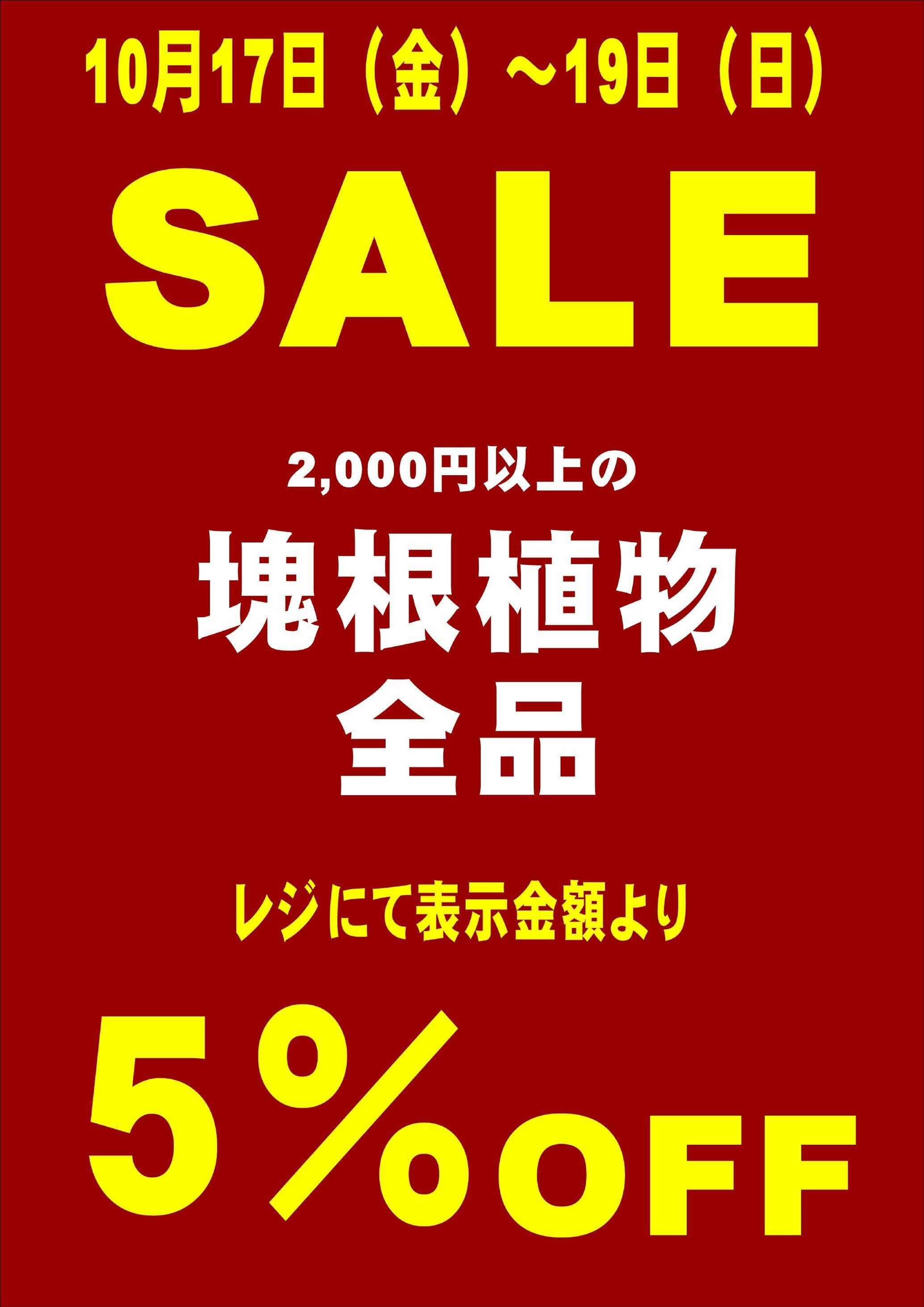 JA尾張中央 ガーデンセンター不二　10/17~19　観葉植物、サボテン、アガベ、塊根セール開催！