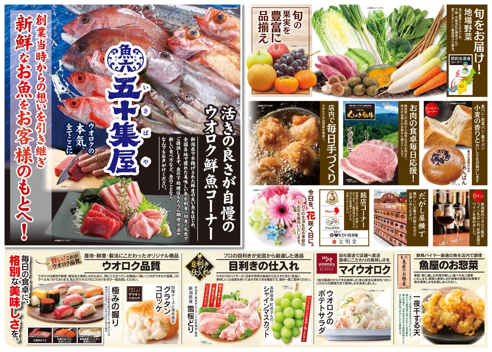 ウオロク ウオロクくびき店OPEN告知