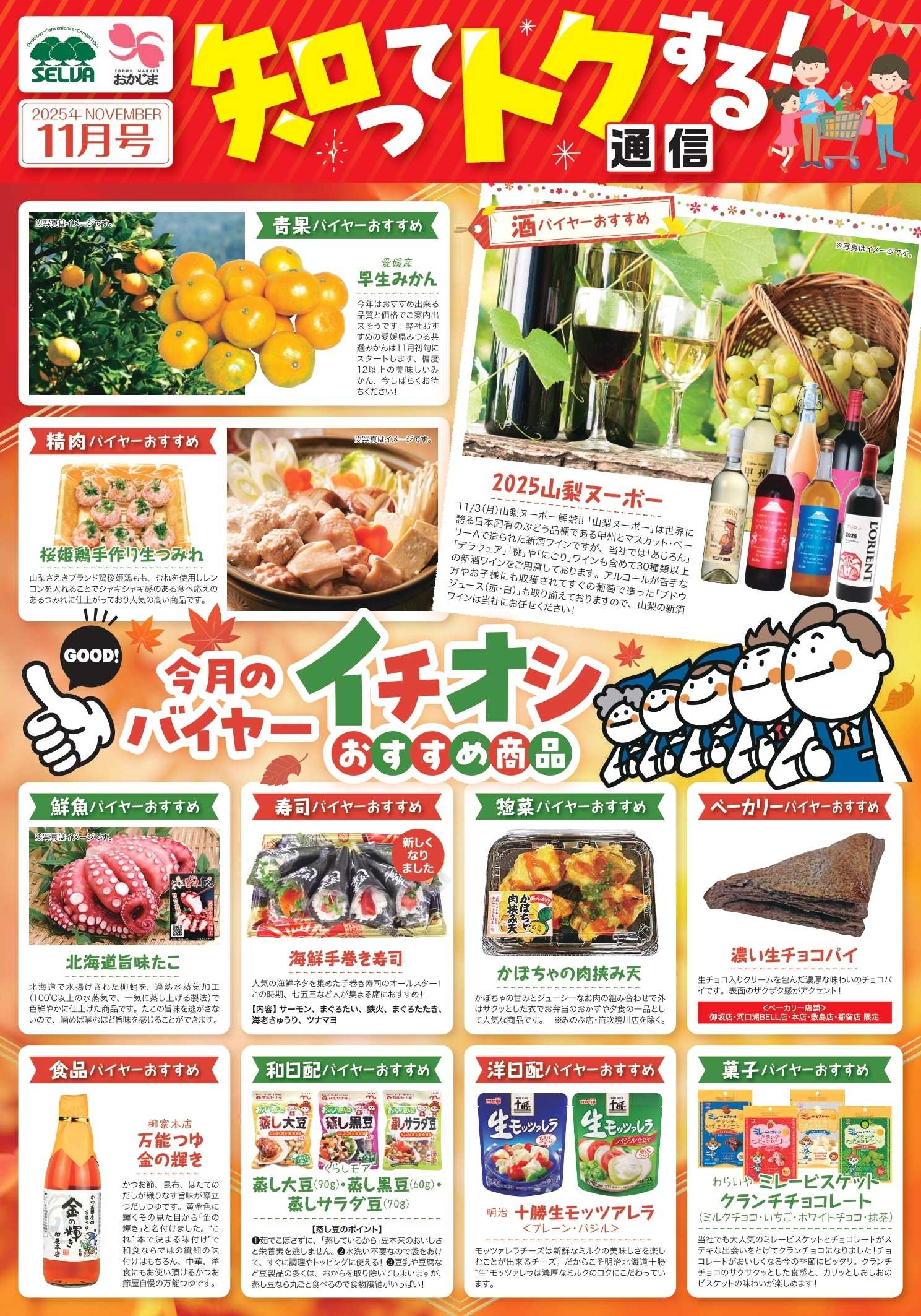 セルバ 11月のバイヤーおすすめ！