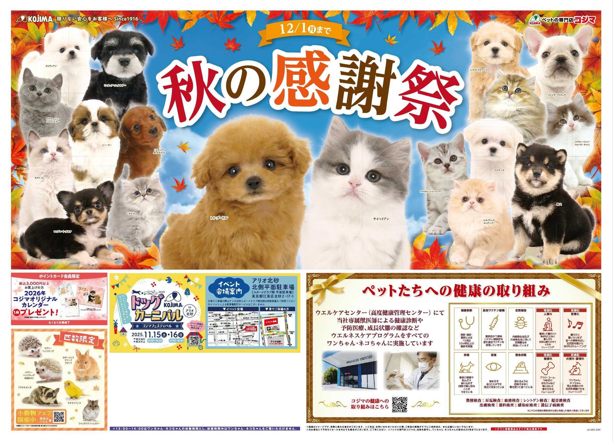 ペットの専門店コジマ 秋の大感謝祭