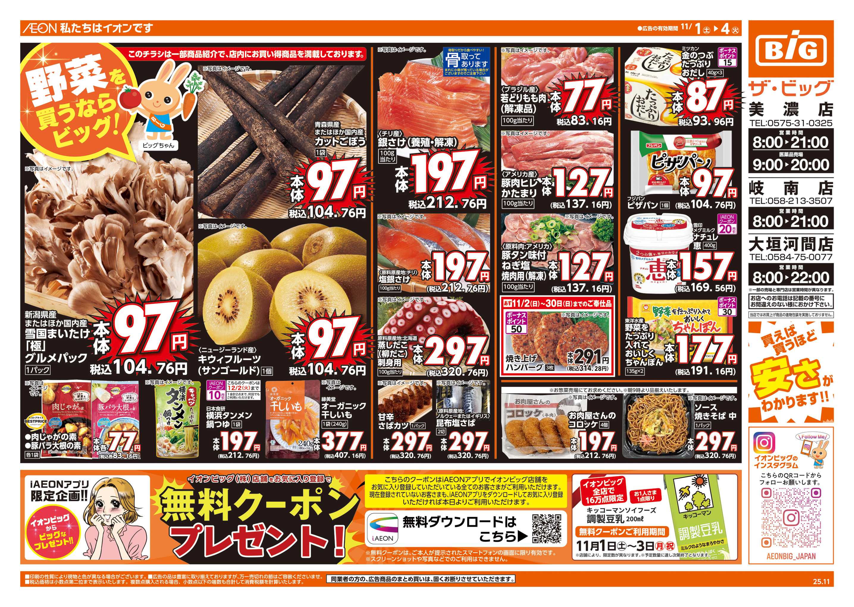 ザ・ビッグ 週末チラシ