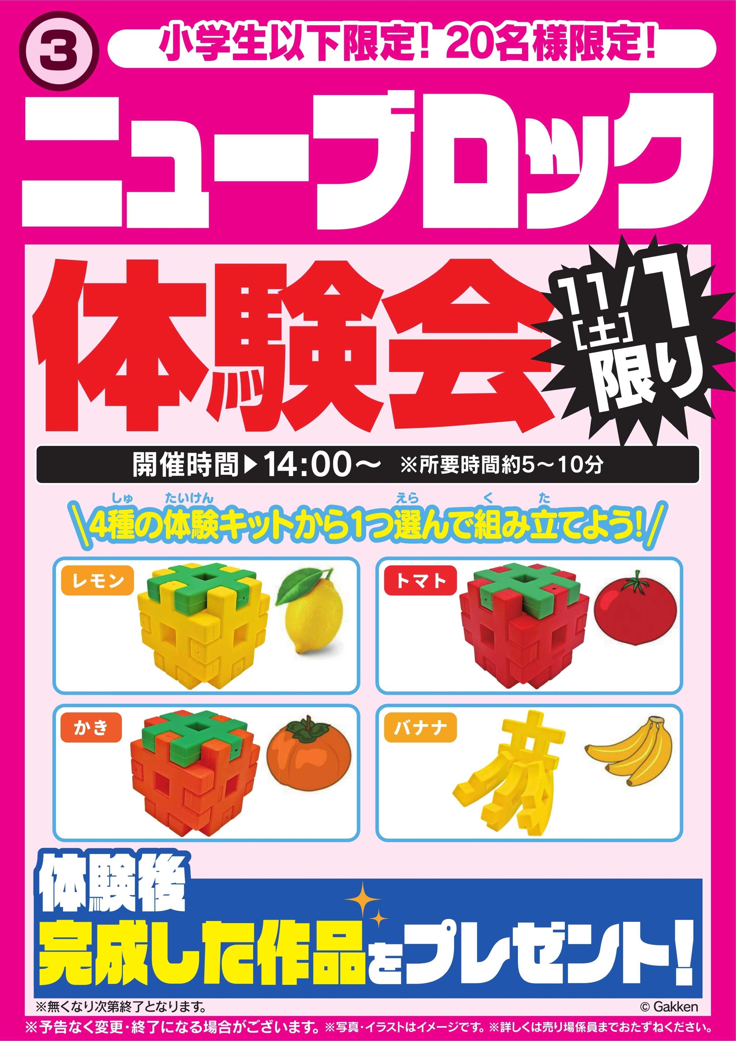 ヤマダデンキ ニューブロック体験会　11/1限り