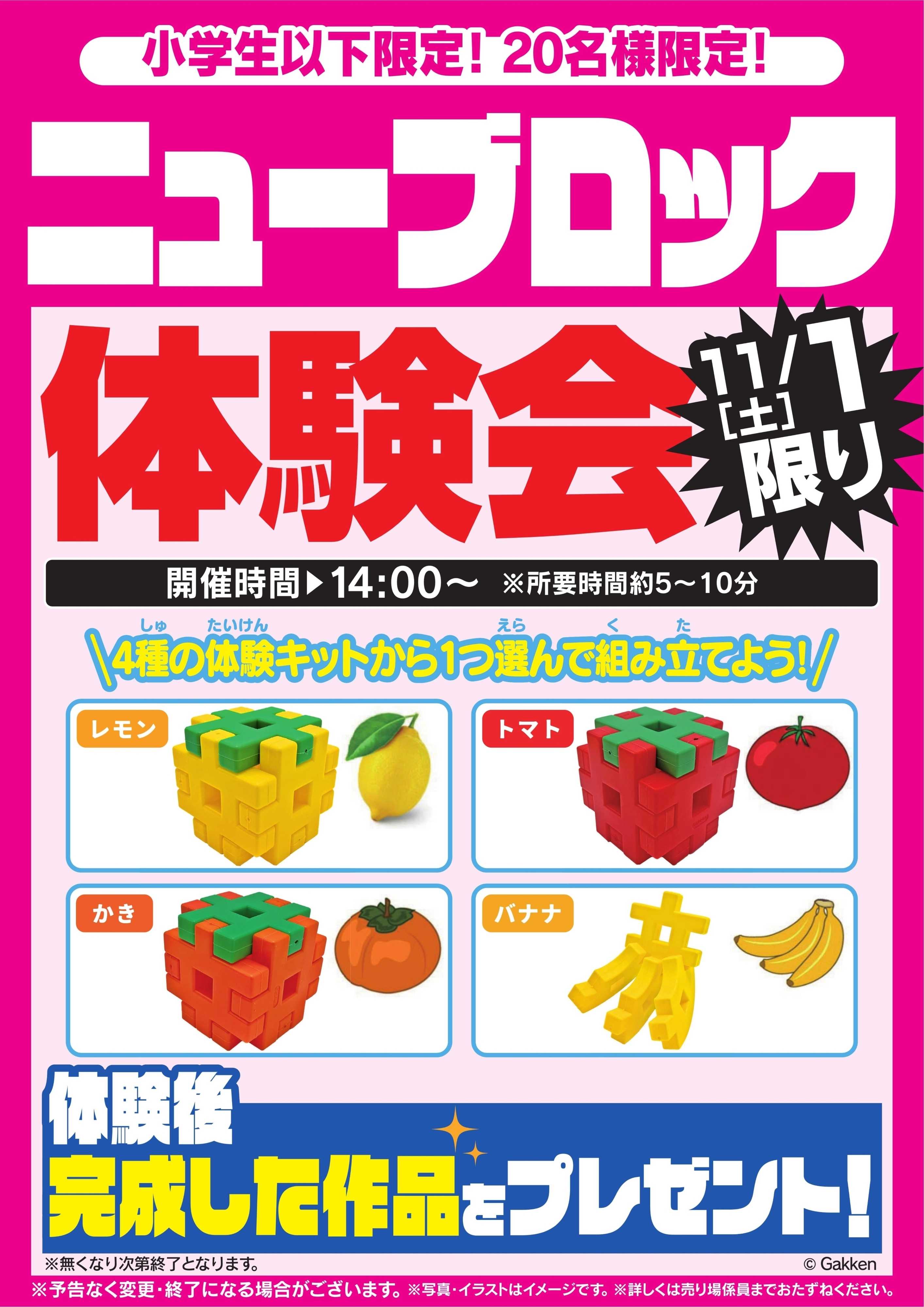 ヤマダデンキ ニューブロック体験会　11/1限り