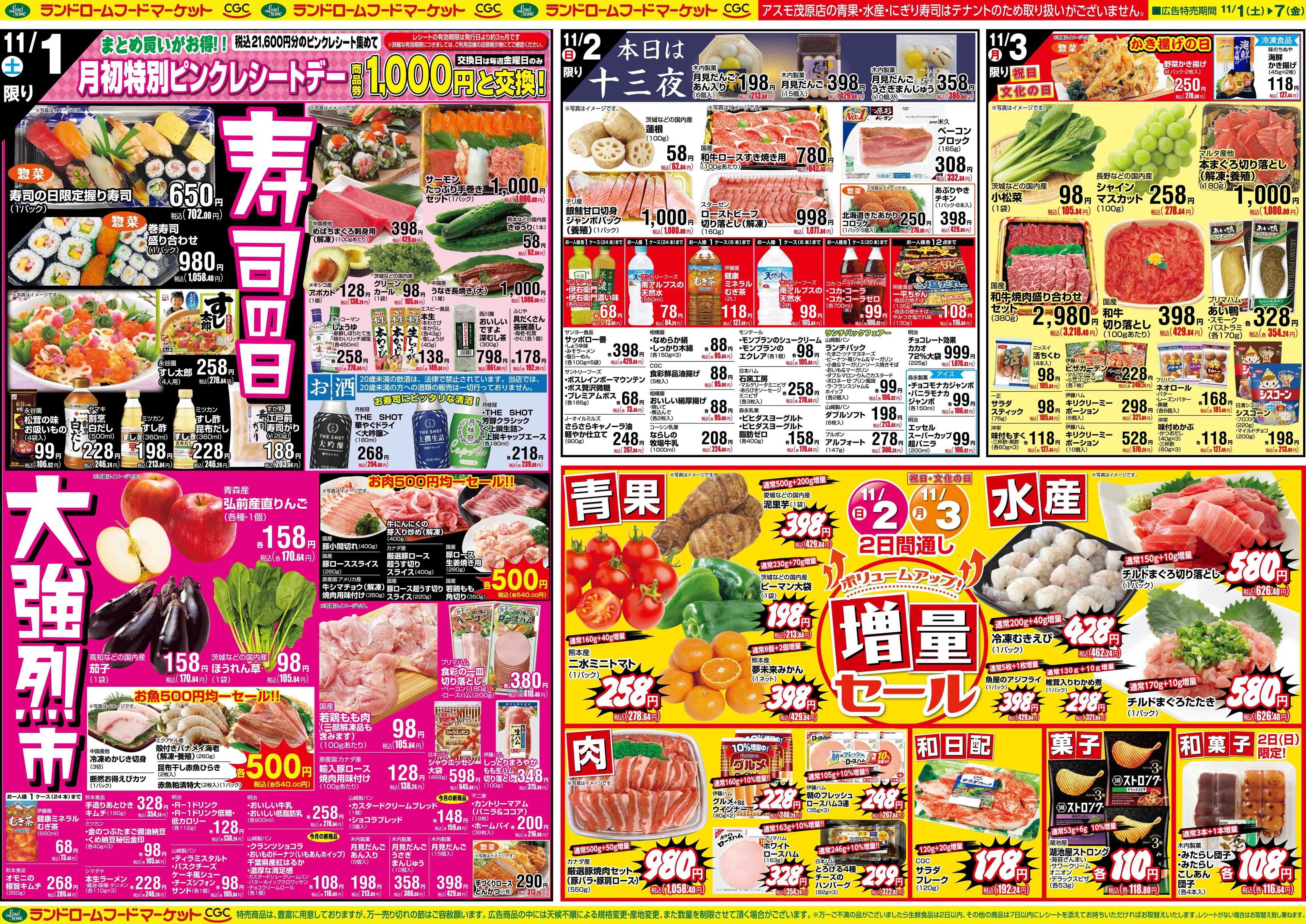 ランドローム 11/1号