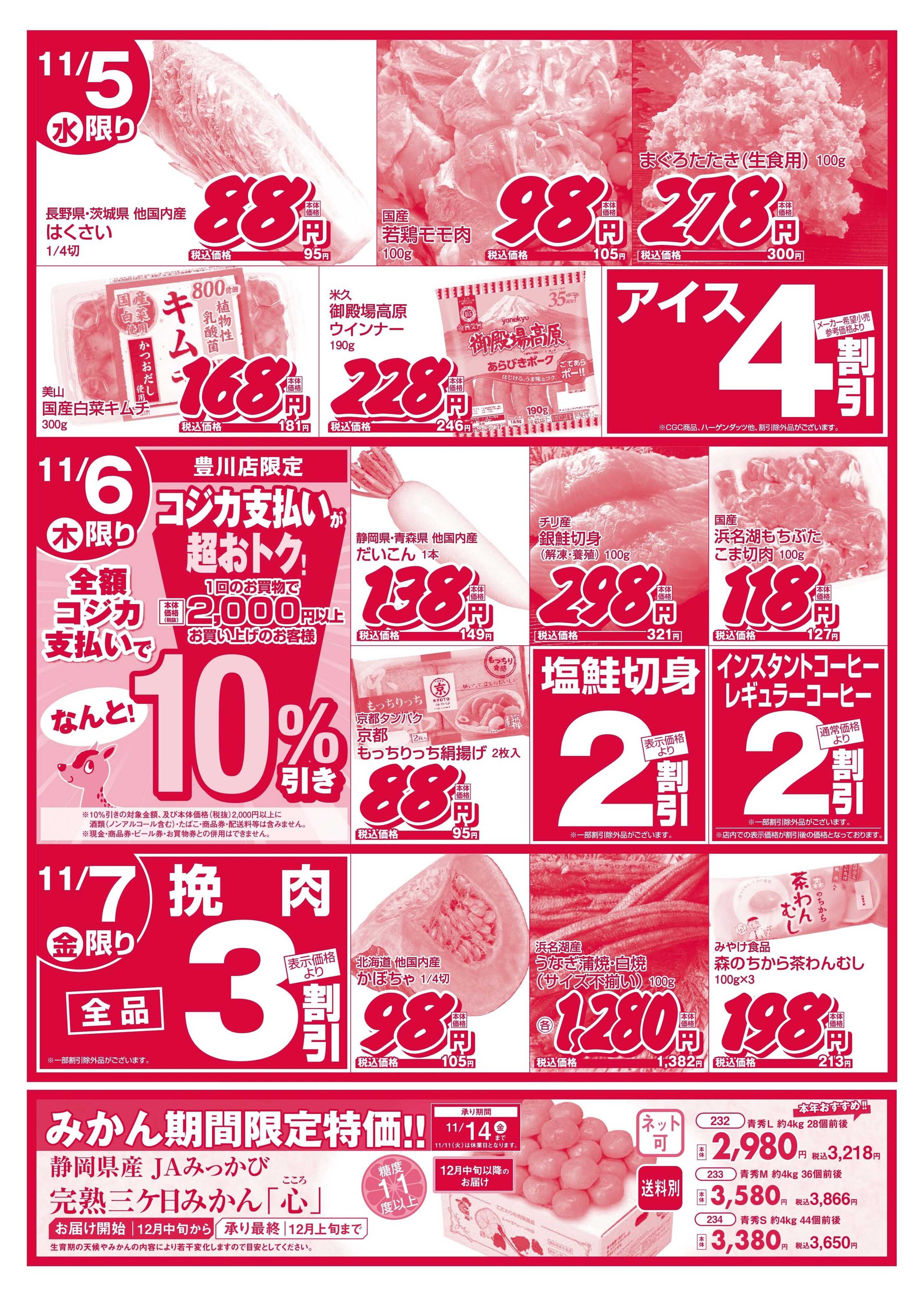 遠鉄ストア 豊川店1105-1107