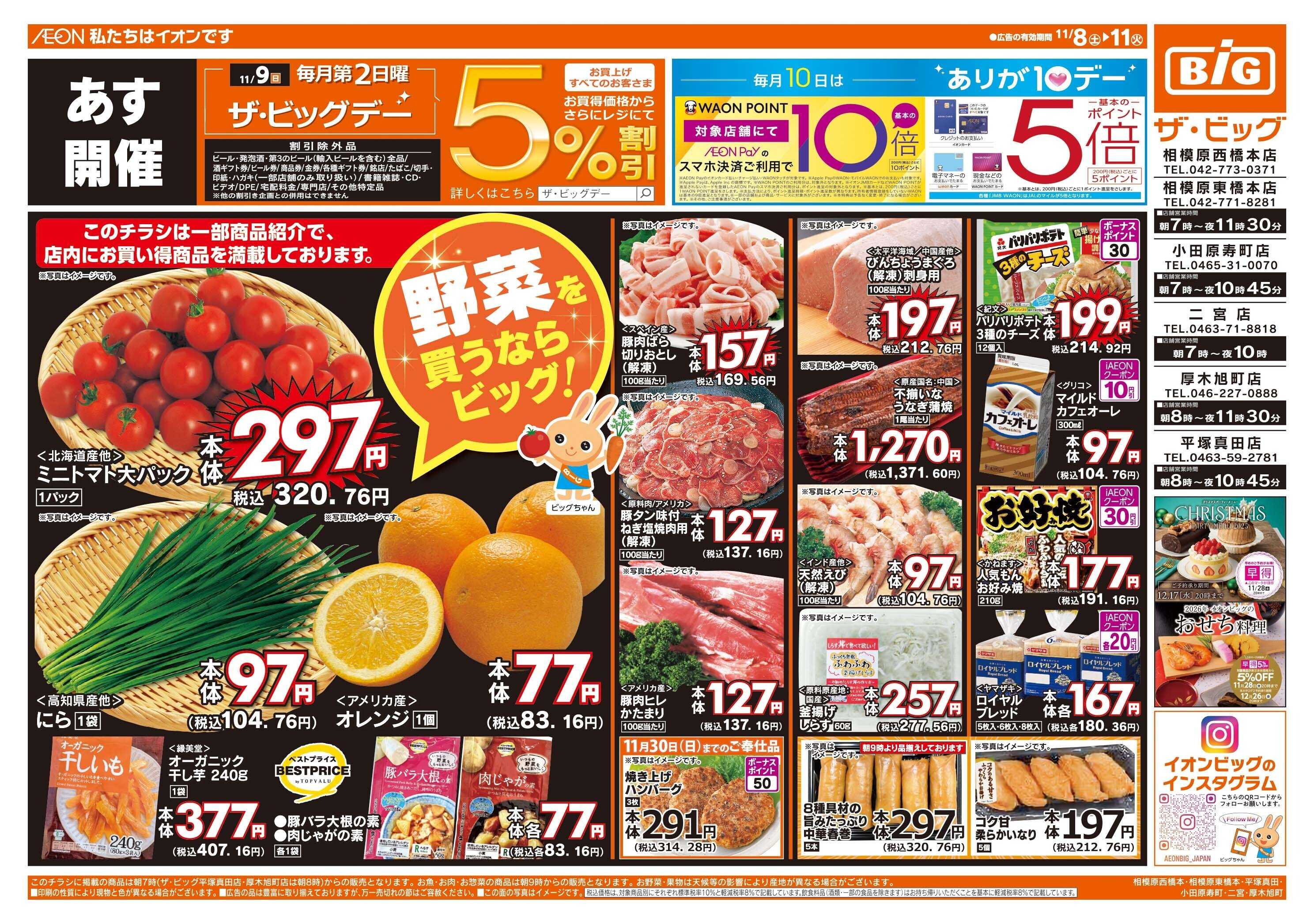 ザ・ビッグ 11/9（日）はザ・ビッグデー！