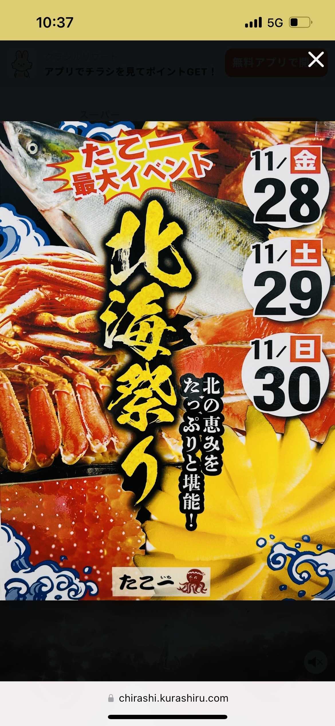 たこ一 北海祭り