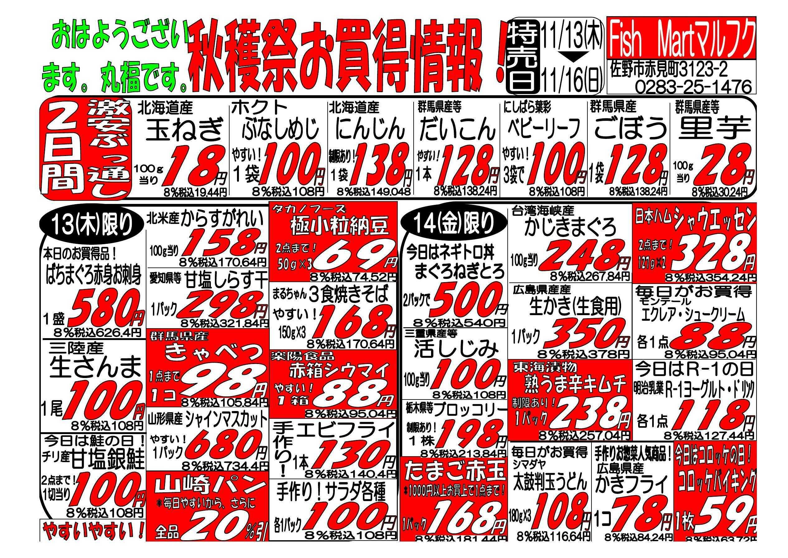 全日食チェーン 13日①