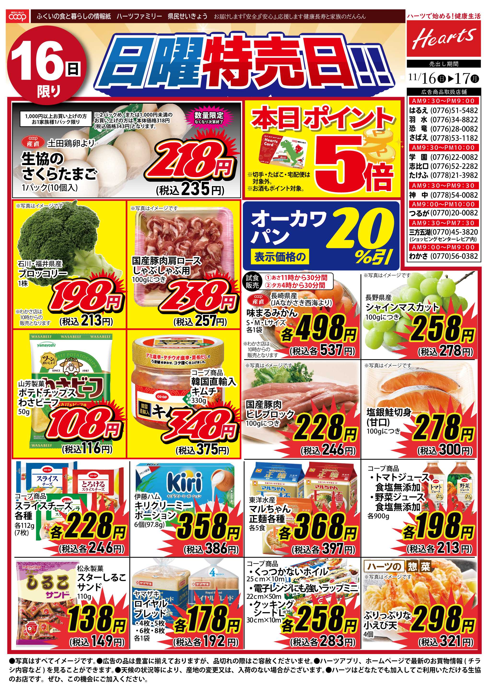 ハーツ ハーツファミリー11/16～11/17