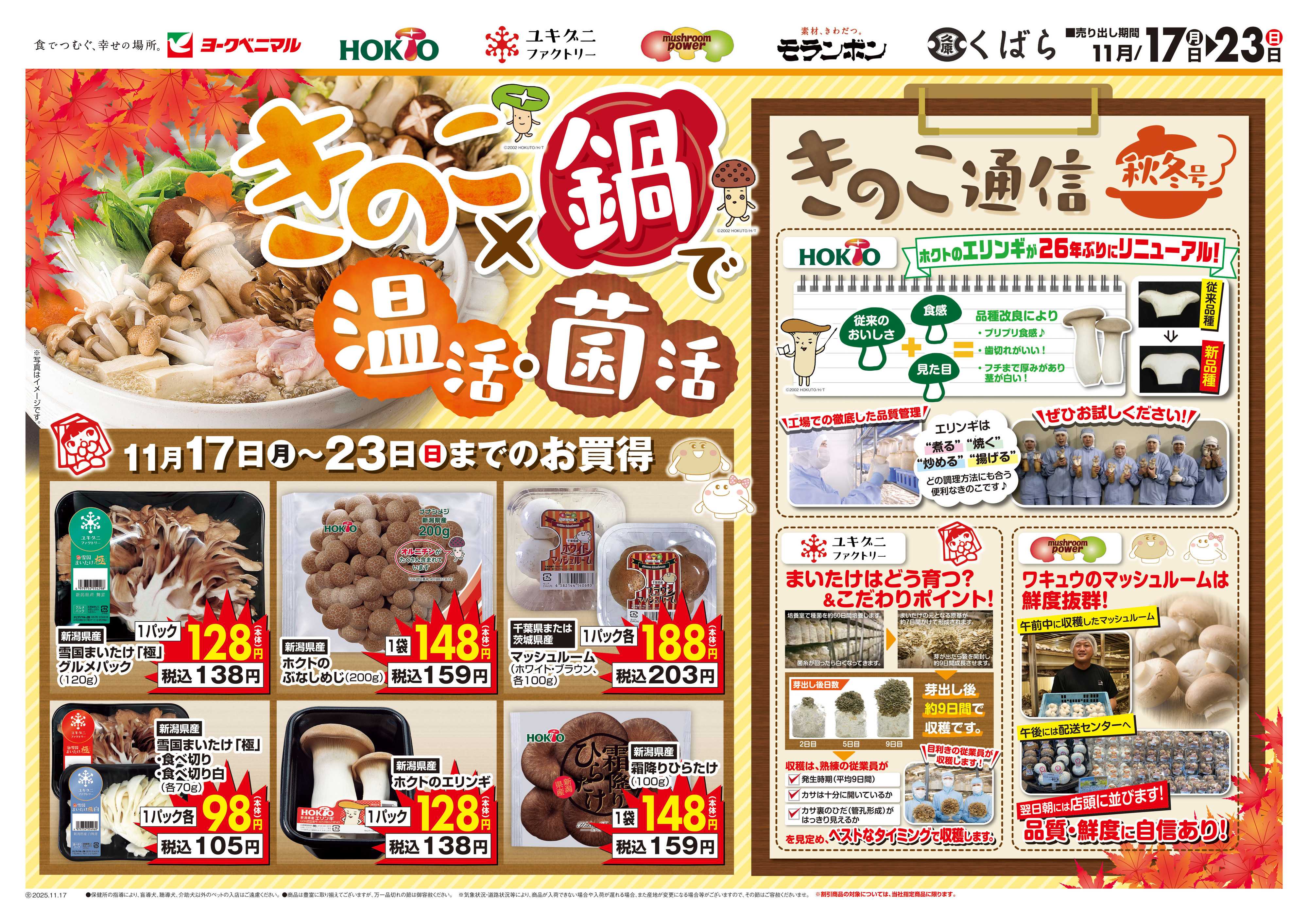 ヨークベニマル きのこ×鍋で温活・菌活