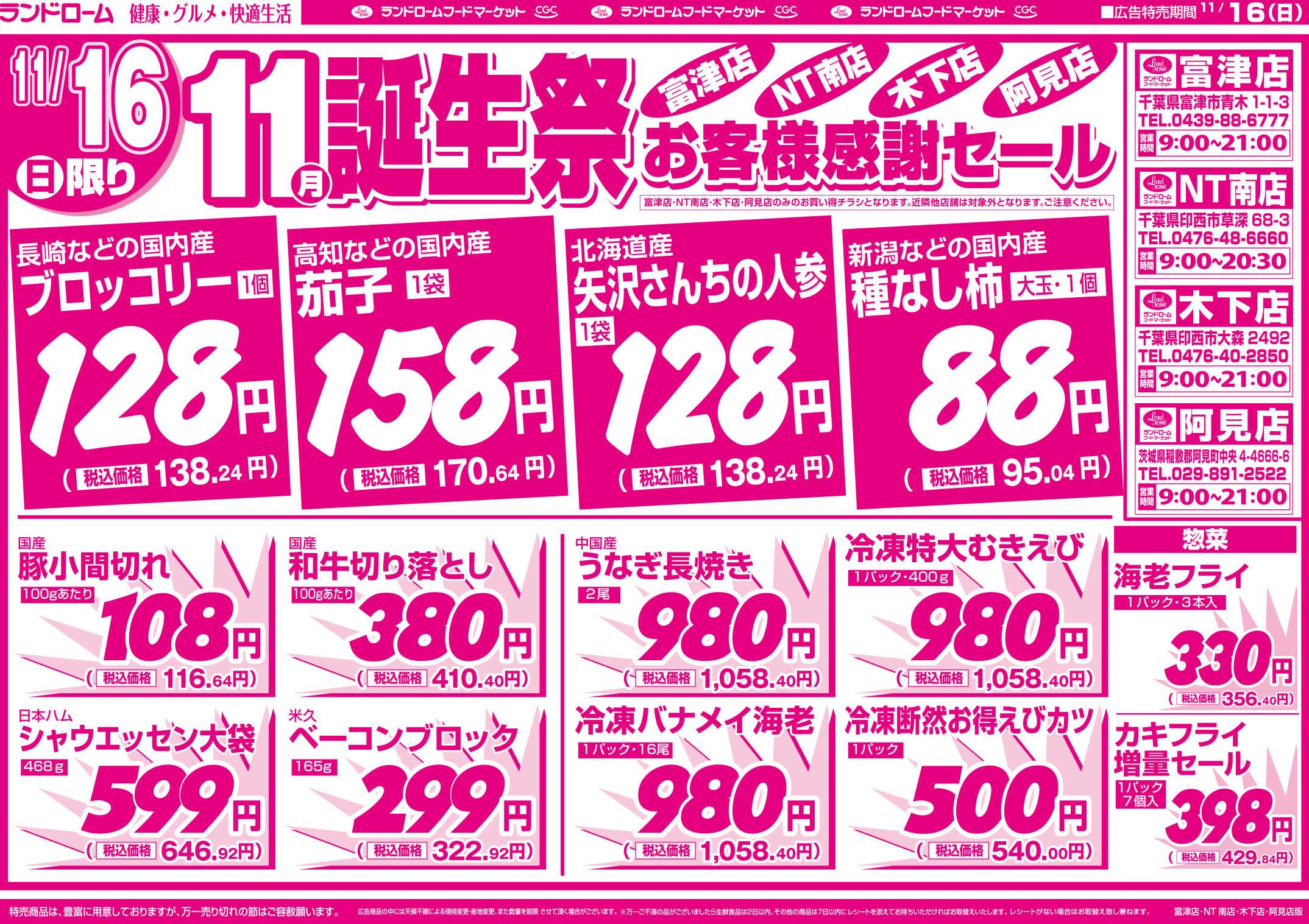 ランドローム 【NT南店・富津店・木下店】11/16号