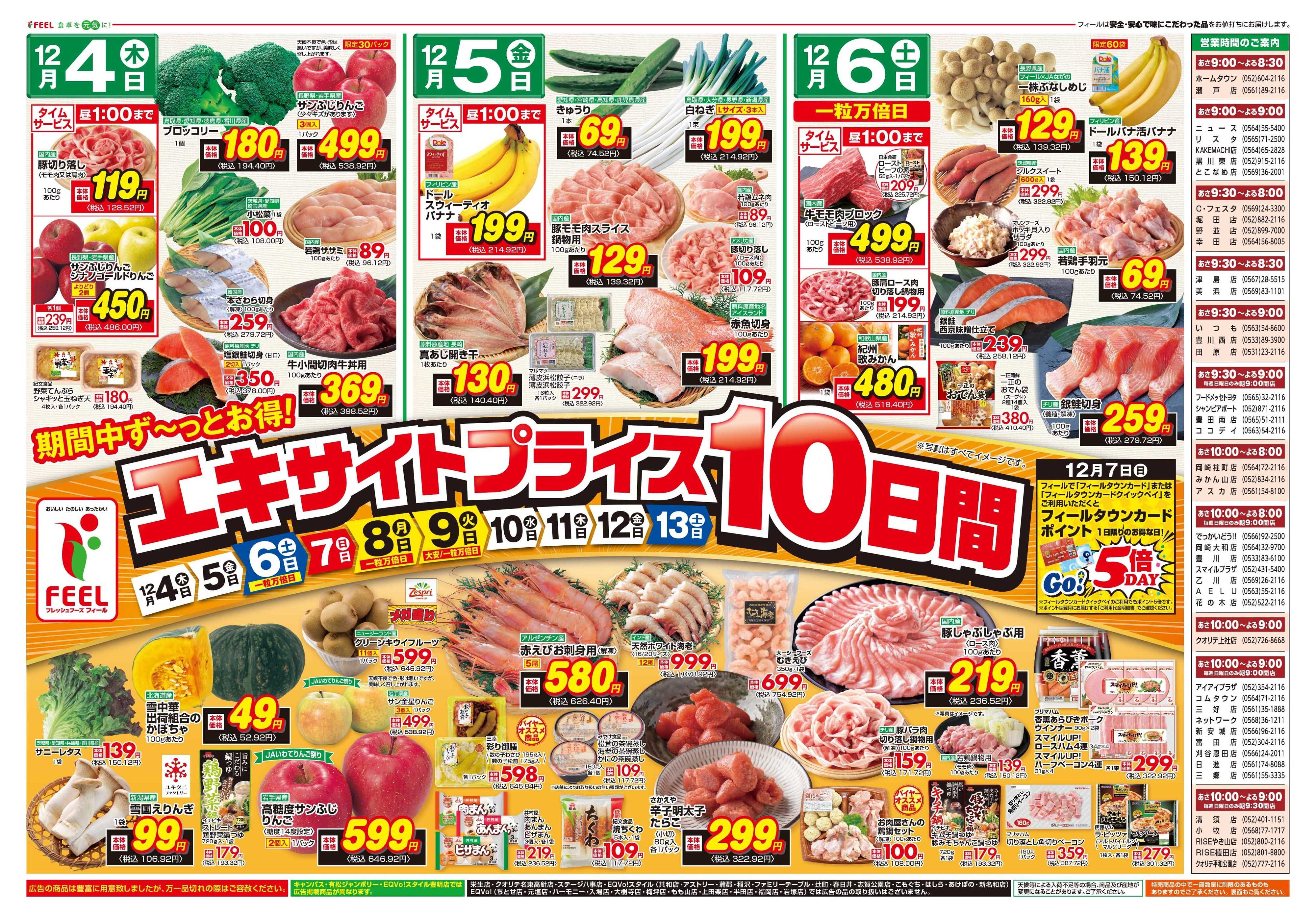 フィール エキサイトプライス（10日間）