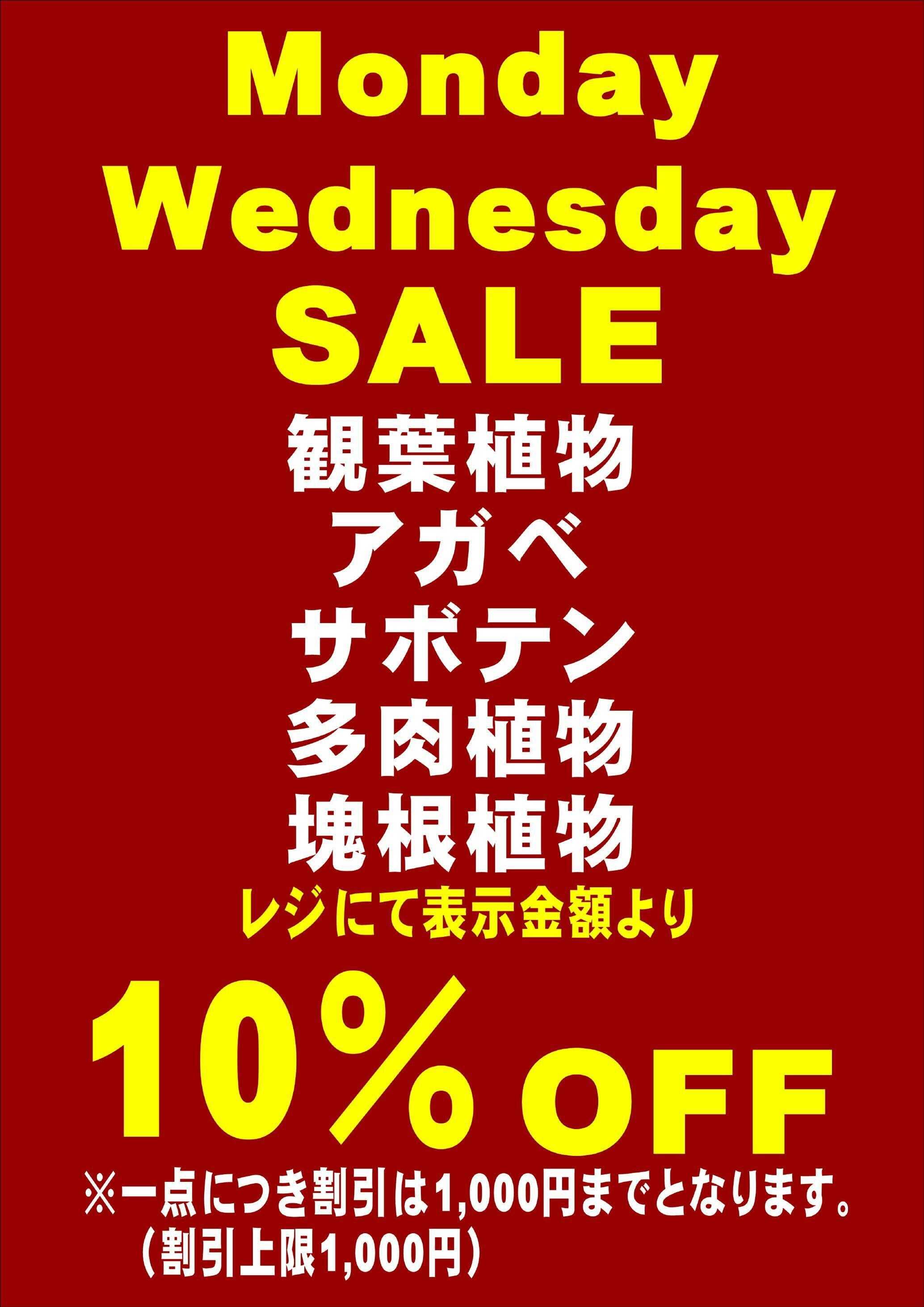 JA尾張中央 ガーデンセンター不二　12月月曜、水曜　観葉植物、サボテン、アガベ、塊根セール開催！12/3、8、10、15、17、22、24、29、31開催