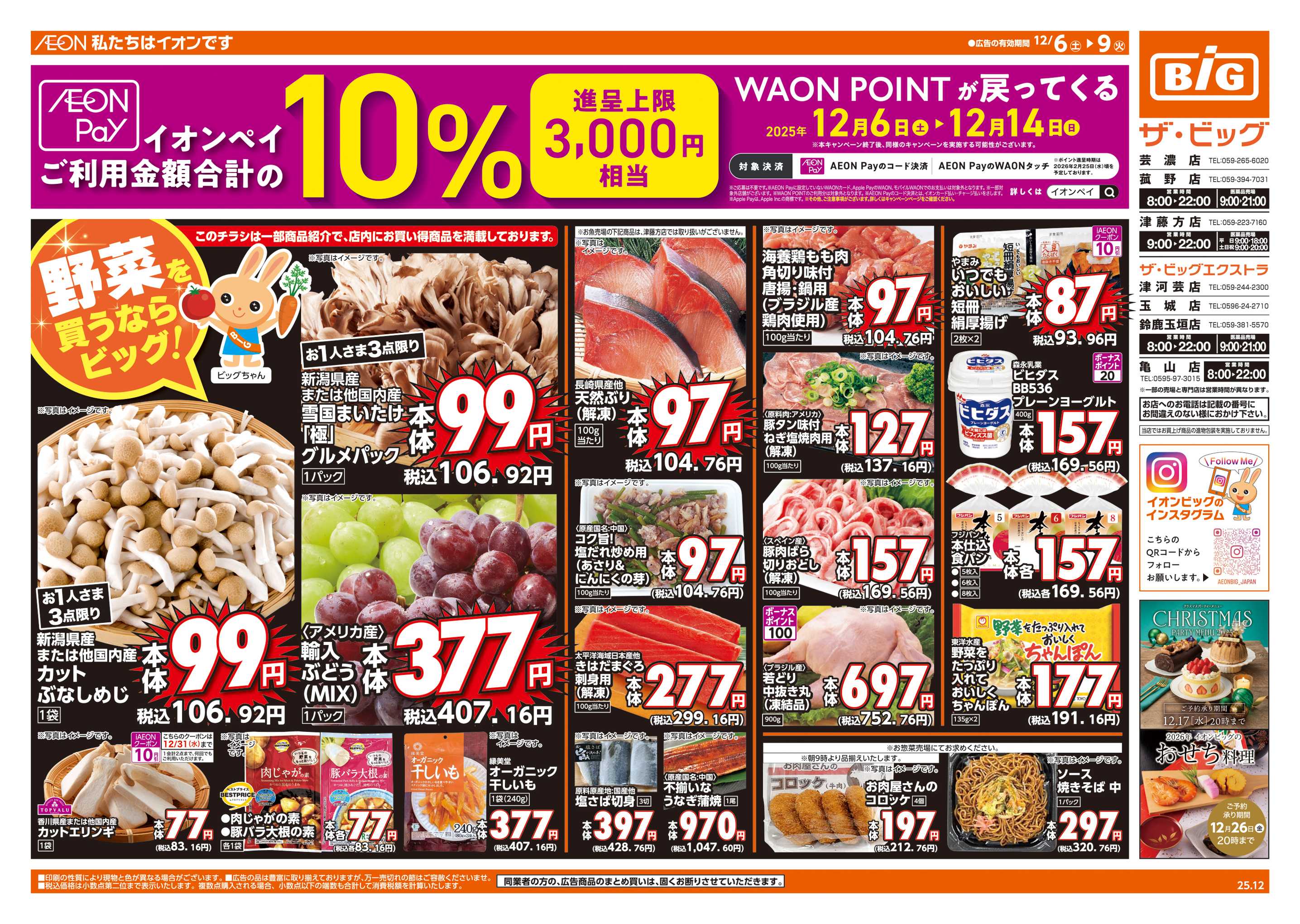 ザ・ビッグ 週末チラシ