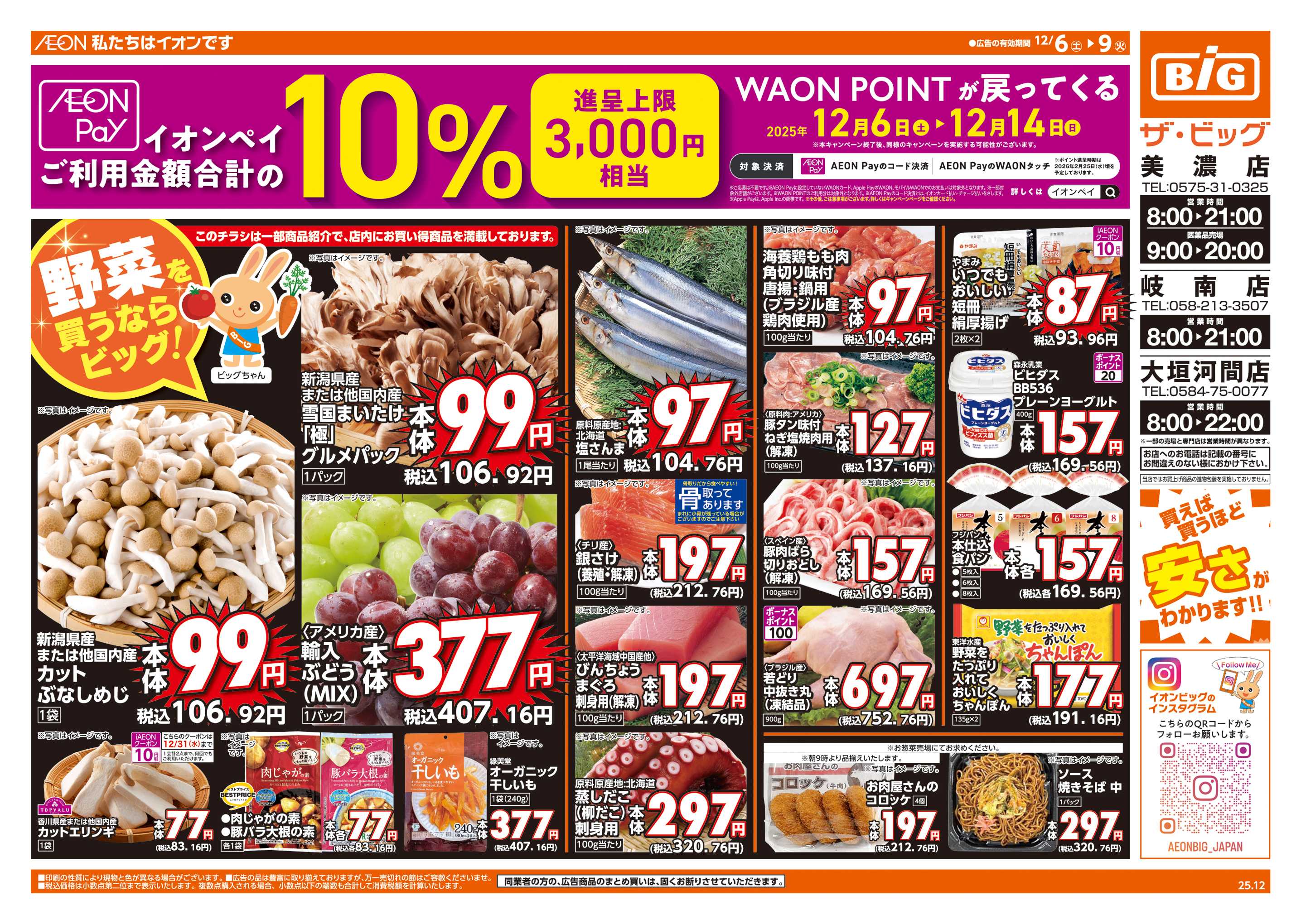 ザ・ビッグ 週末チラシ