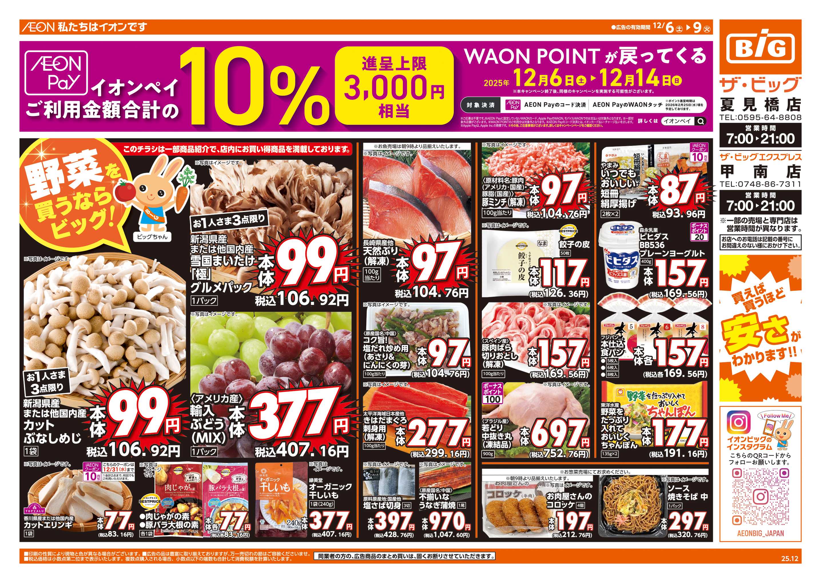 ザ・ビッグ 週末チラシ