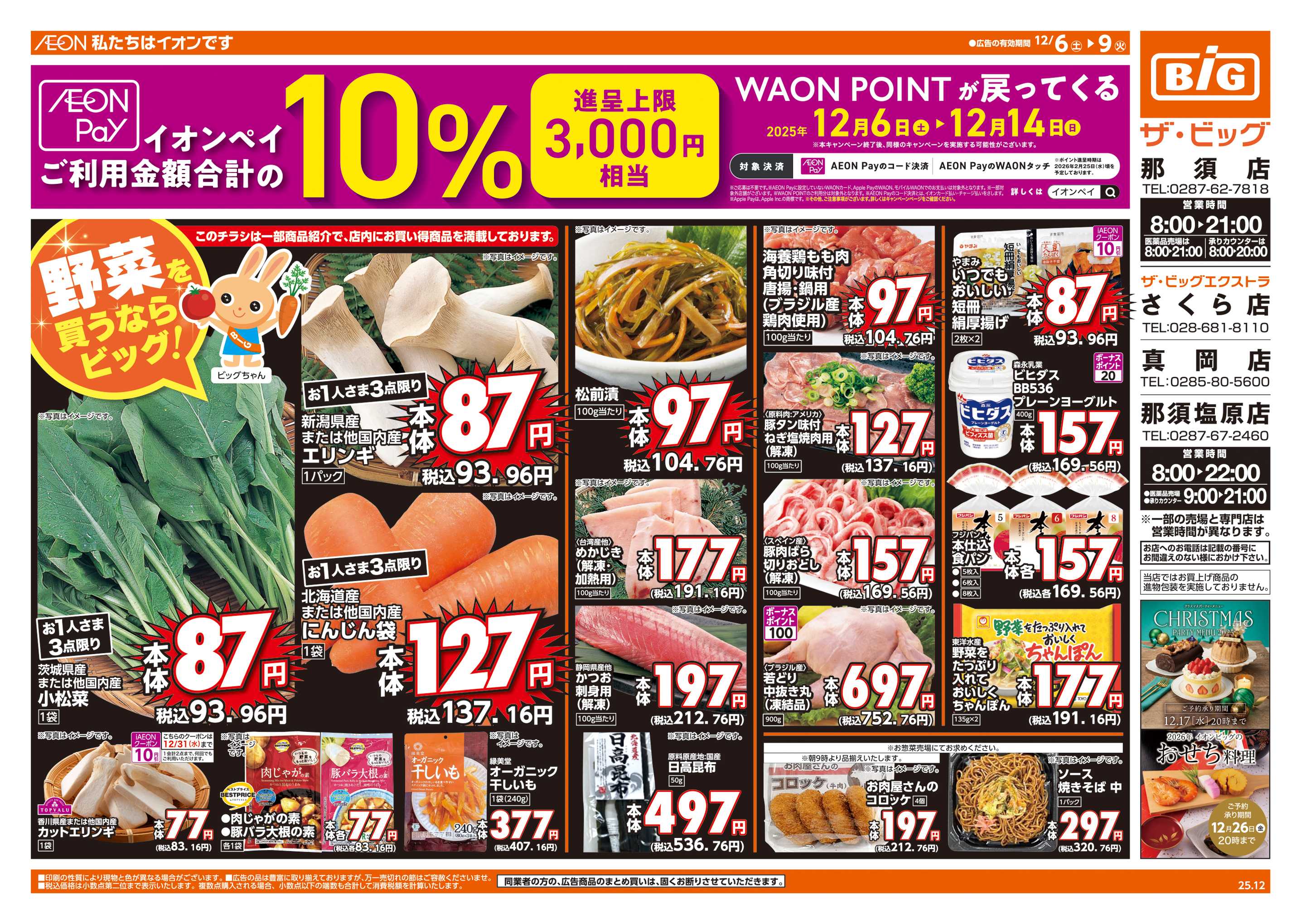 ザ・ビッグエクストラ 週末チラシ