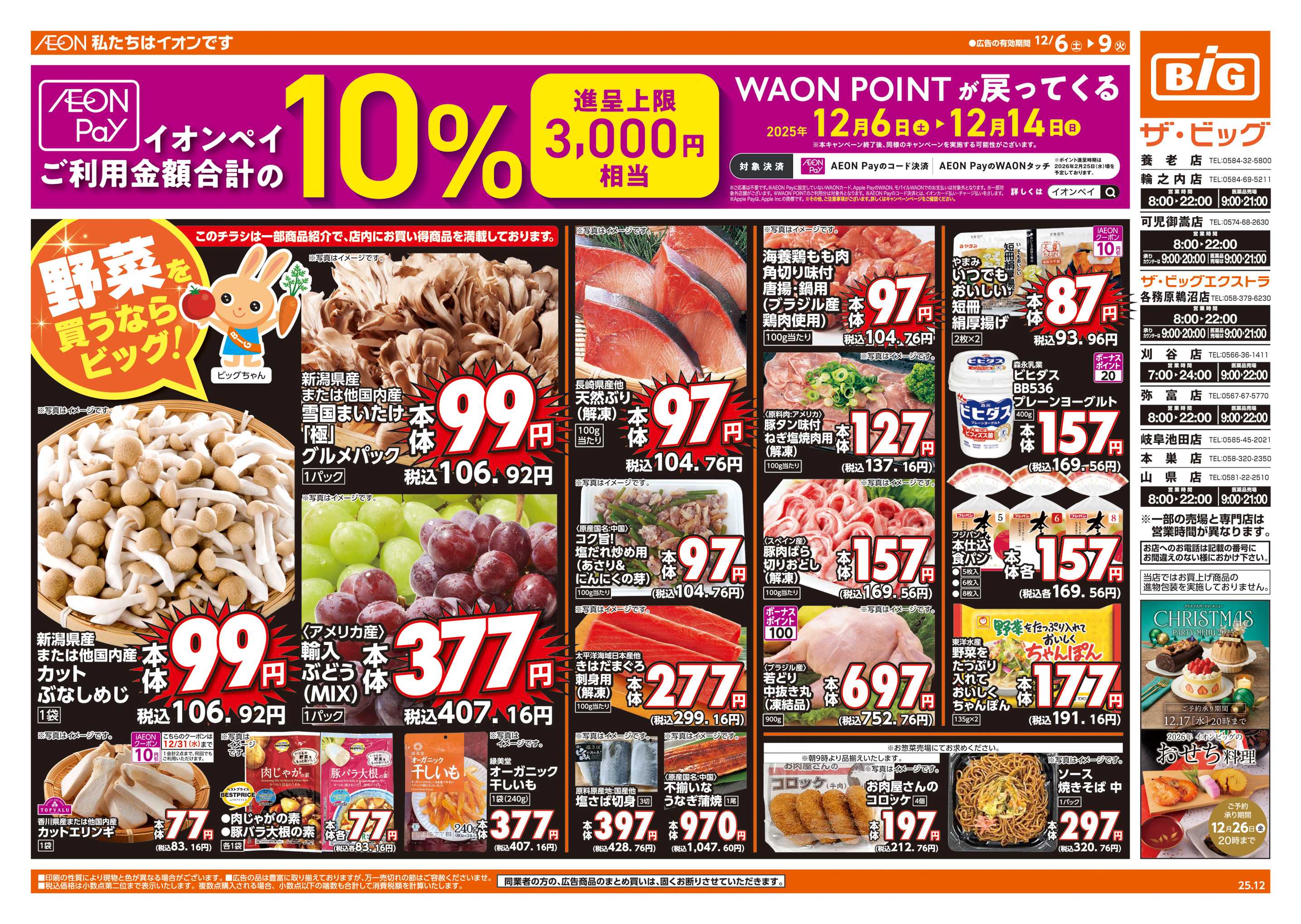 ザ・ビッグエクストラ 週末チラシ