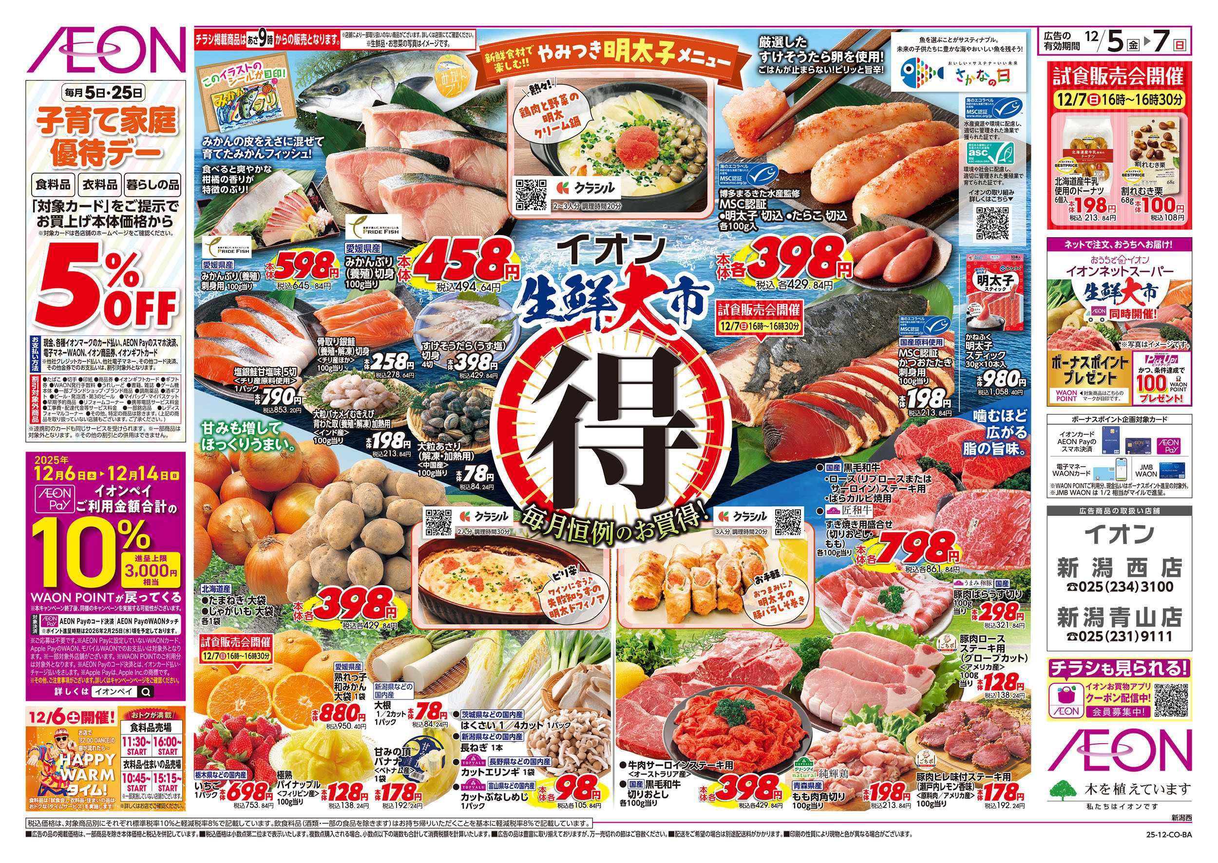 イオン 12/5号　生鮮大市：表面